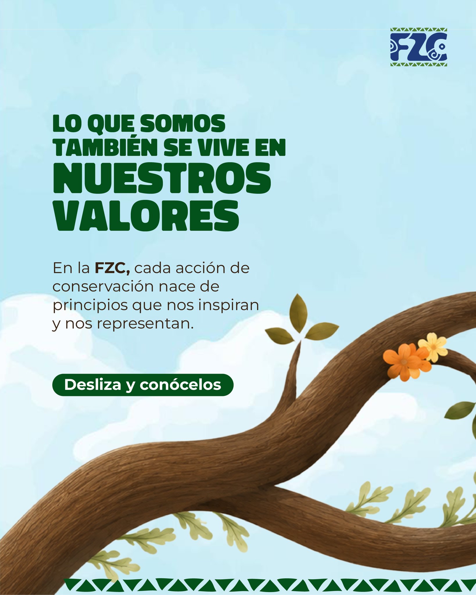 En la Fundación Zoológica de Cali, somos guiados por valores que dan sentido a cada decisión y a cada acción que emprendemos💚
Estos principios no solo orientan nuestro trabajo, también reflejan nuestra manera de entender la conservación: con compromiso, coherencia y una visión de futuro para la biodiversidad.
Y en todo lo que hacemos, esos valores se mantienen como nuestra guía constante. 🌿