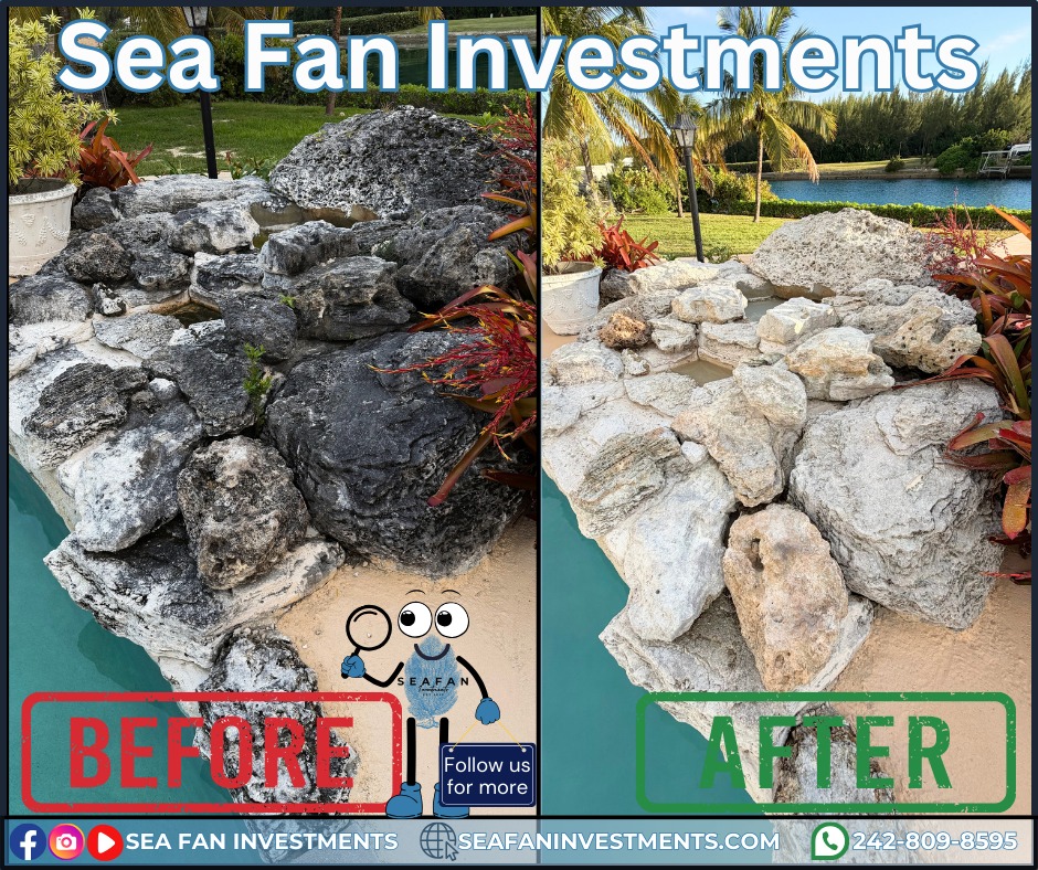 Professionals provide professional results! If you need exterior cleaning, Sea Fan Investments provides unique cleaning solutions.
Want to learn more? Check out our blog on pressure washing:
https://www.seafaninvestments.com/post/what-is-pressure-washing
We don't just pressure clean! We are your soft washing professionals and provide complete exterior cleaning solutions! Concrete cleaning, house washing, roof cleaning, driveways, windows, decks, docks, pool surrounds, patios, surface sealing, paver restoration, and much more.
We have cleaned homes of all sizes, multi family properties, businesses, school campuses, churches, gas stations, apartment complexes, and manufacturing facilities. Big or small, we've cleaned it all. What can we clean for you?
We are always looking for ways to help you manage and maintain your investment.
We service Freeport, Grand Bahama π§πΈπ§πΈπ§πΈ and cater to all your property management needs.
Visit our website https://www.seafaninvestments.com/
Check us out on Google https://maps.app.goo.gl/FtLupz7nk7yhbf917
Follow us on Facebook https://www.facebook.com/SeaFanInvestments
Follow us on Instagram https://www.instagram.com/seafaninvestments/
Watch and subscribe to us on YouTube
https://www.youtube.com/channel/UCNAsDyoYIpteVf6pDe5iCQw
#pressurewashing #softwashing #roofcleaning #housewash #deckcleaning #DockCleaning #seafaninvestments #guttercleaning #drivewaycleaning #concretecleaning #soffitcleaning #sealing #stuccocleaning #poolsurroundcleaning #brickcleaning #stonecleaning #commercialroofcleaning #paversealing #dumpstercleaning #woodcleaning #oilremoval #oxidizationremoval #rusttreatment #graffitiremoval #windowcleaning #commercialcleaning #parkinglotcleaning #patiocleaning #pressurewashinggrandbahama #pressurecleaningfreeportbahama