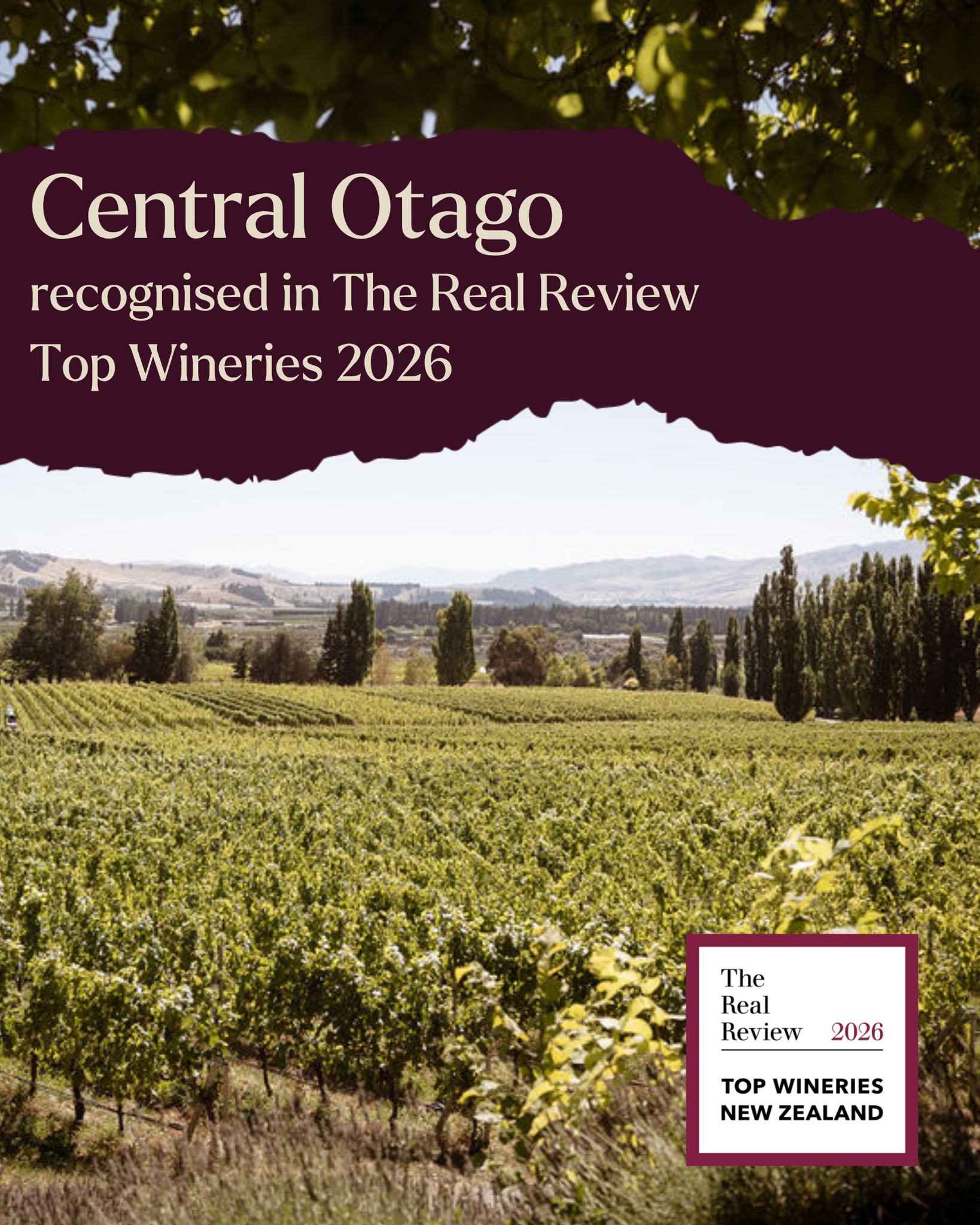 Great recognition for the producers and people of Central Otago in The Real Review Top Wineries of New Zealand 2026 🍷
Felton Road, Prophet’s Rock and Quartz Reef were all named among the country’s top five wineries, an outstanding result for the region.
Special congratulations to Rudi Bauer, named Vigneron of the Year, and to members Jascha Oldham-Selak and Sanne Witteveen of Vilaura, who received the Rising Star of the Year award.
Burn Cottage was awarded Red Wine of the Year for the Sabines Selection Pinot Noir 2022, while Cloudy Bay received Sparkling Wine of the Year for the Pelorus Brut Chardonnay Pinot Noir Vintage 2013.
A brilliant acknowledgement of the wines and winemakers continuing to push Central Otago and New Zealand wine forward. Cheers to that!
#NZWine #CentralOtagoWine #TheRealReview