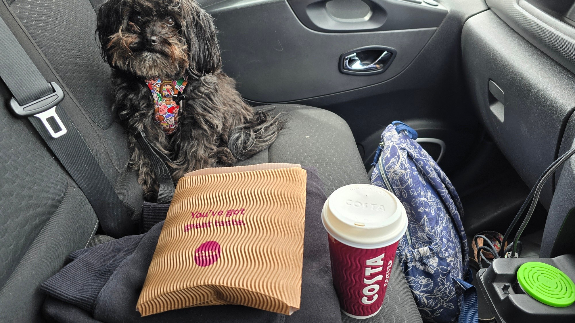 Yesterday was busy, quick pick-me-up pitstop cos the holiday blues are strong today! 😭
p.s. Milo's moustache tells me he had a real good sleep last night 🙈