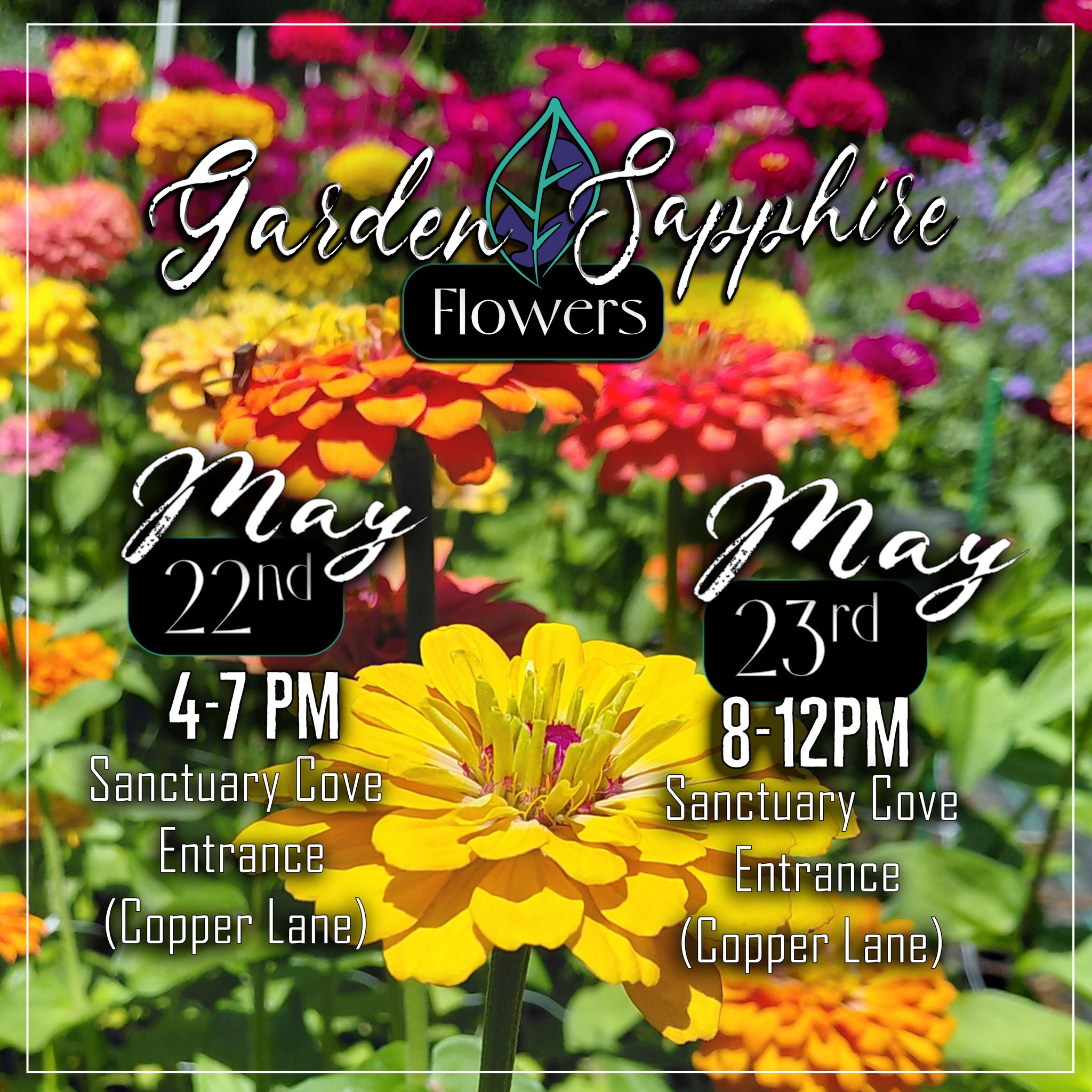 We will be out this Memorial Day Weekend with some beautiful bouquets! Come by and see us at our Sanctuary Cove location (at Copper Lane) Friday evening or Saturday morning.
There are about 2 more weeks of Bell Flowers left, so get them while they are still around!
We look forward to seeing you! Have a wonderful weekend.
@followers