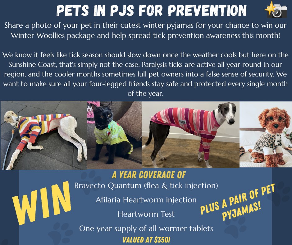 Competition time!
We want to see your four-legged furry friends in their favourite winter pyjamas!🐾
To win the below package, simply follow these steps and the winner will be drawn on
Tuesday the 30th of June 2026.
👉 Like and share this post
👉 Upload your picture in the comment section below
Make sure you are following our Facebook and Instagram page to see when we announce the winner. Good luck! 💙