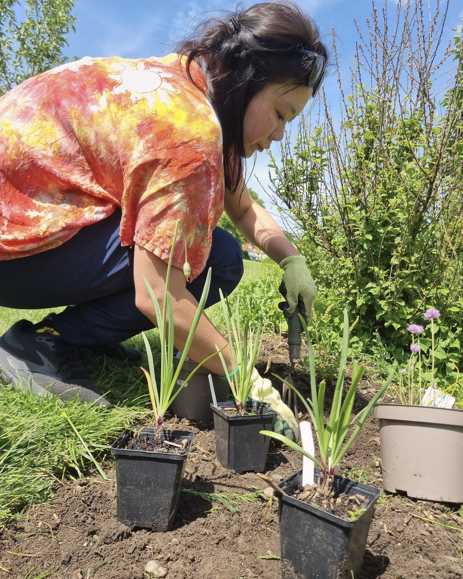Wow! The weather has changed at #PebbleMill #ForestGarden. We watered throughout the session, planted 30 plants, weeded and edged, and got some beautiful rewards for it! Back again on Sunday 7th June.