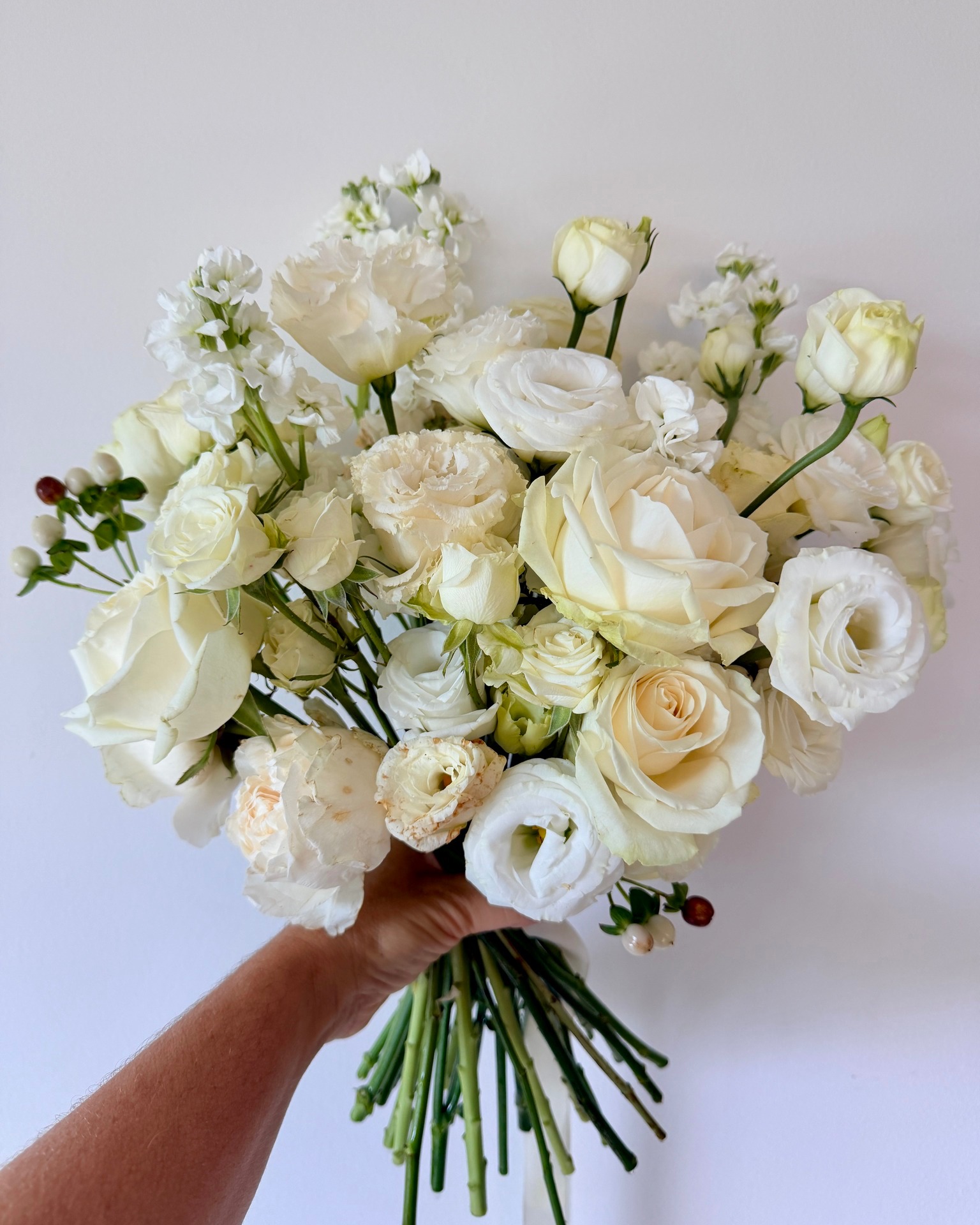 This beautiful bouquet was carried down the aisle here in Queensland by a bride who lives in Melbourne. After the wedding, her blooms came straight to me for preserving.
The palette was all soft creams and whites — roses, lisianthus, stocks and carnations. White bouquets are some of the most delicate to preserve. The tones shift to soft champagne and ivory as they dry, and you can't hide a single imperfection. But when they're done right, there's nothing more timeless. The finished piece is now on its way down south.
#whiteweddingbouquet #flowerpreservation #3dflowerpreservation #weddingkeepsak #goldcoastbride