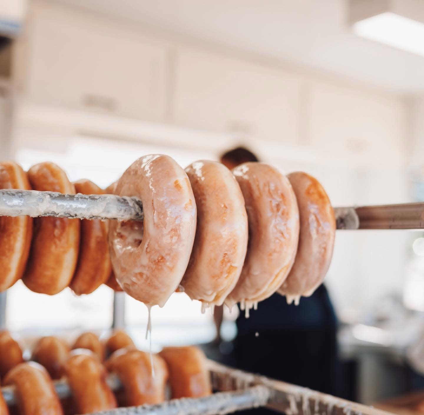 Happy Memorial Day Weekend! We are open regular hours and ready to serve you ✨
Local's will be set up at Velkommen Square in Junction City tomorrow, May 23rd.
ADDRESS: 190 Ivy Street, JC
HOURS: 9-2
SPECIAL: 🍁The Maple Bar🍁
Along with our special, we will also be serving our original vanilla glazed donuts, cinnamon sugar donuts, handcrafted soft pretzels, and Blue Silo Creamery milk and chocolate milk.
GIVEAWAY: We are giving away a half dozen donuts/pretzels to 2 lucky followers!
TO ENTER:
✨LIKE THIS POST
✨FOLLOW OUR PAGE
✨TAG YOUR FRIENDS
Winners will be announced tomorrow morning and will also be contacted directly. Please be aware of scammers posing as our page, we will NEVER ask for credit card/personal information to claim your prize.
See you soon! 🫶
