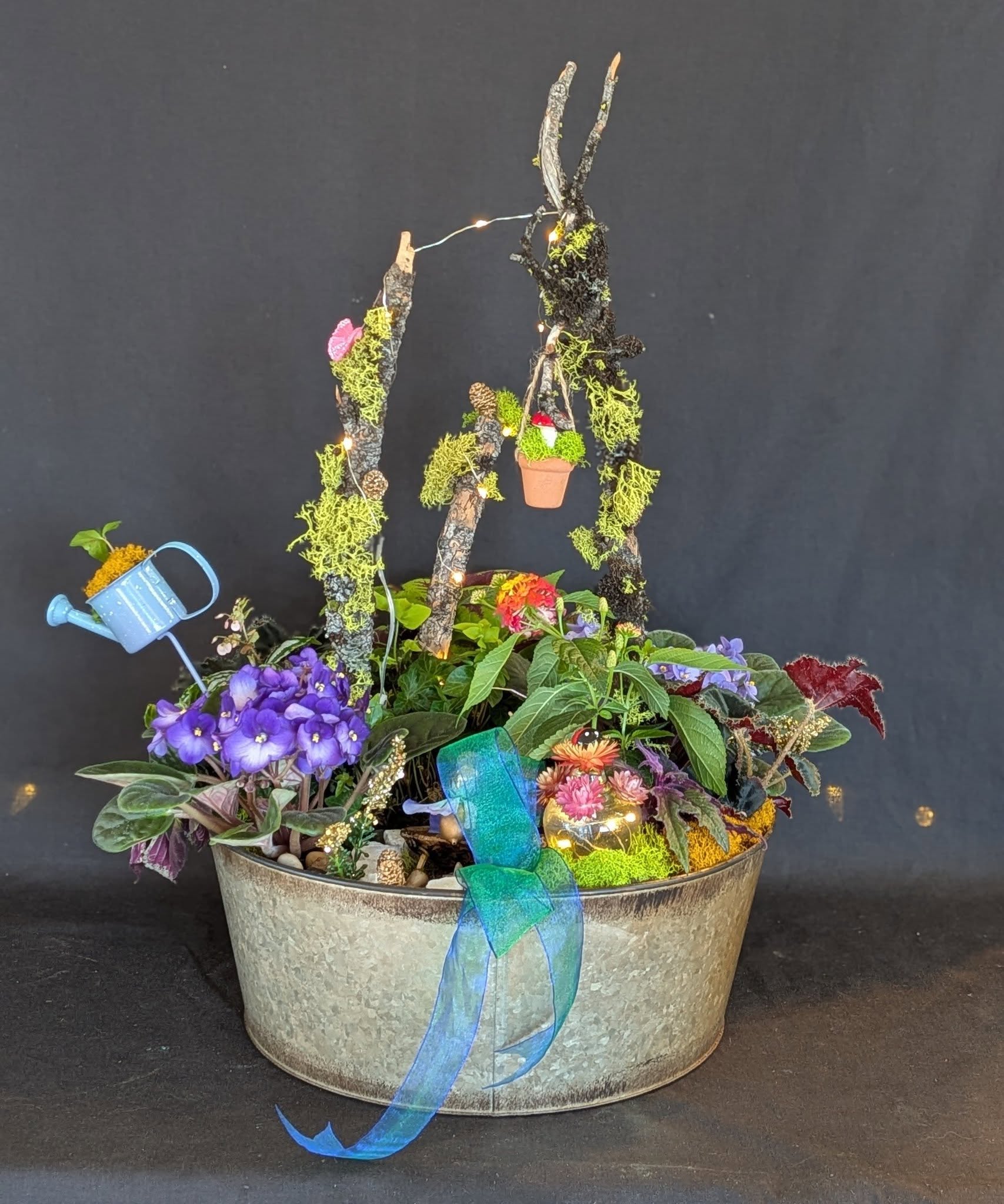 Fairy Garden with lights
Anna Glenn🌸🌸
#ABF#mushrooms#lights#fairy