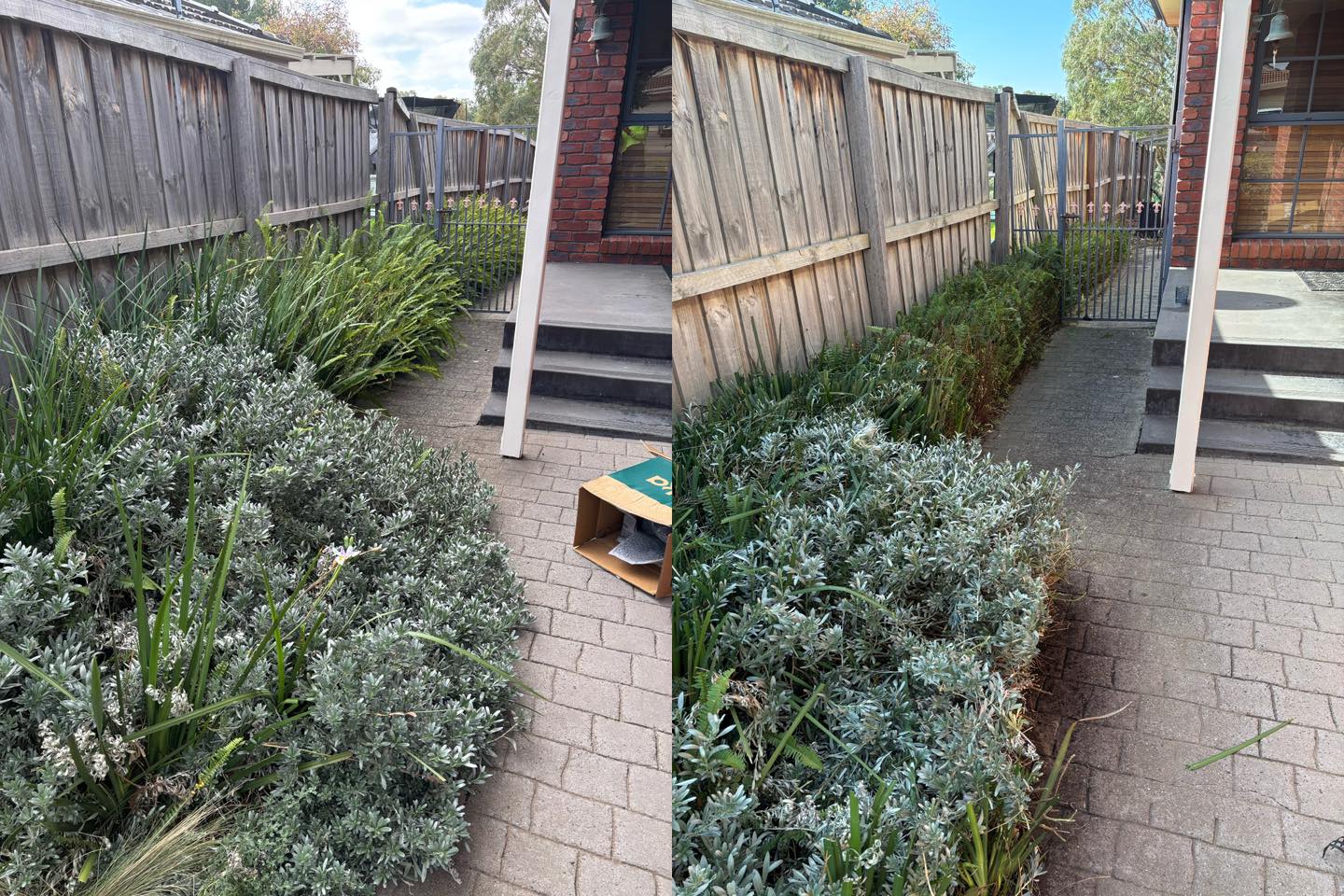 Hedges under control #melbourne #lawns #mowing #gardening #MowingService #lawnmowing #GBG #hedgetrimming
