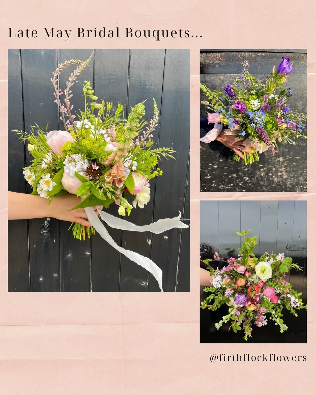 Late May bouquets… and three completely different looks.
Same month, same farm, all made with what’s growing right here — but each one shaped by a different bride, a different palette, and a different moment in the field.
May can be a funny month for flowers. Spring has mostly faded, summer isn’t quite ready, and we’re working right in that in‑between space. But that’s where the creativity happens — mixing the last of the spring beauties with the very first hints of summer colour.
And that’s why we love British, sustainably grown flowers. They’re never identical, never predictable, always full of life. Each bouquet tells its own story, and each one feels completely unique.
Which May bouquet is your favourite today?
#BritishFlowers #SeasonalFlowers #SustainableFloristry #GrownNotFlown #SlowFlowersUK #FlowerFarmerFlorist #NorthWalesFlorist #WeddingFlowersUK #MayFlowers #SeasonalBouquet #EcoFloristry #LocalFlowers #FarmFreshFlowers