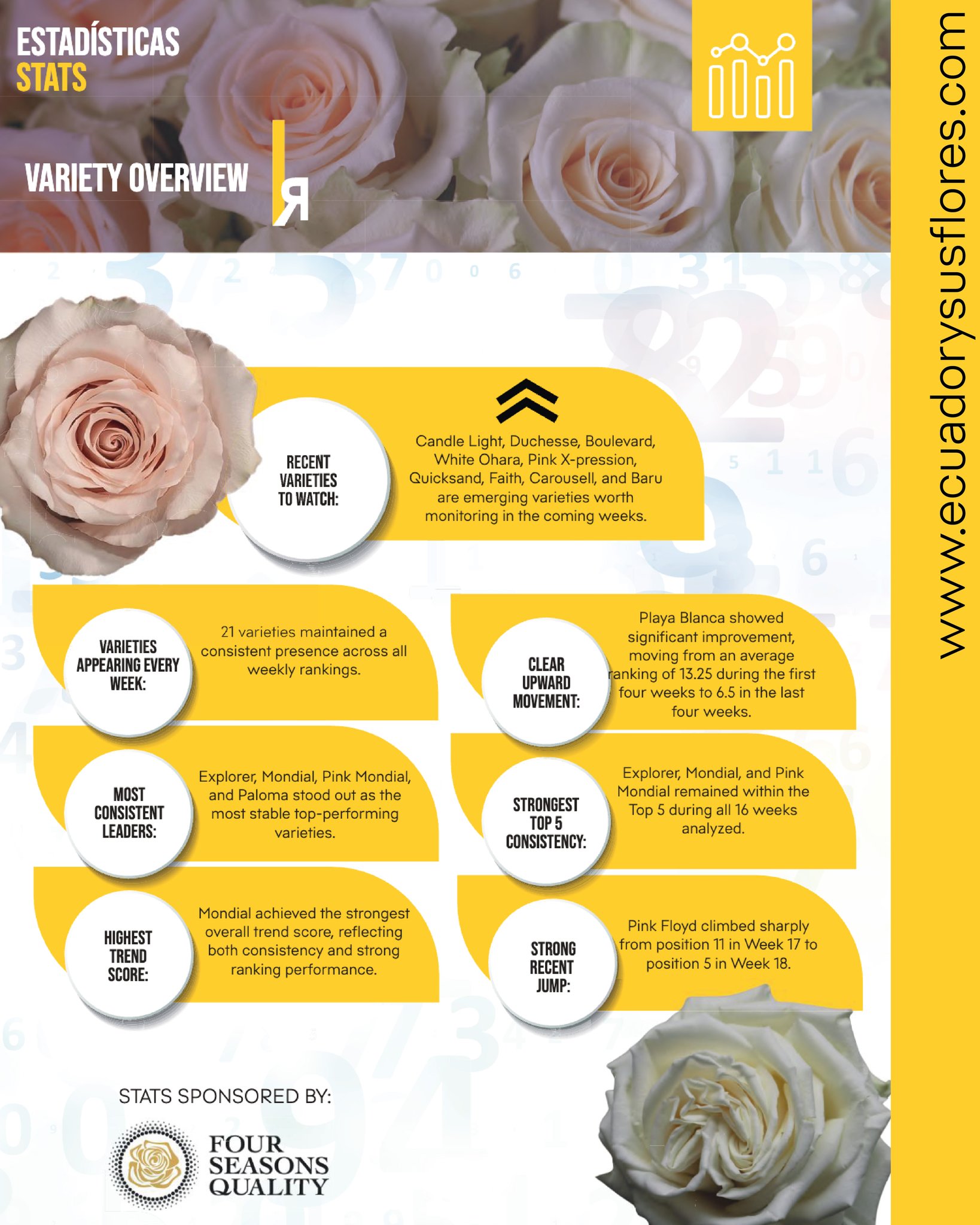 VARIETY TRENDS 🌹📊
The floral market continues evolving — and data is becoming one of the most valuable tools for understanding what comes next.
Together with our partner Four Seasons Quality, we present a new variety overview featuring consistency trends, emerging performers, and key movements across the market.
From the sustained leadership of Explorer, Mondial, and Pink Mondial… to the strong rise of varieties like Playa Blanca and Pink Floyd, these insights help reveal how demand and performance are shifting over time.
Special thanks to Four Seasons Quality for providing the data behind this analysis and contributing valuable market intelligence to the industry.
At The Flowers of Ecuador, we continue transforming information into insight.
#Floriculture #RoseVarieties #FlowerIndustry #MarketInsights #FourSeasonsQuality #EcuadorianFlowers #TheFlowersOfEcuador #Roses