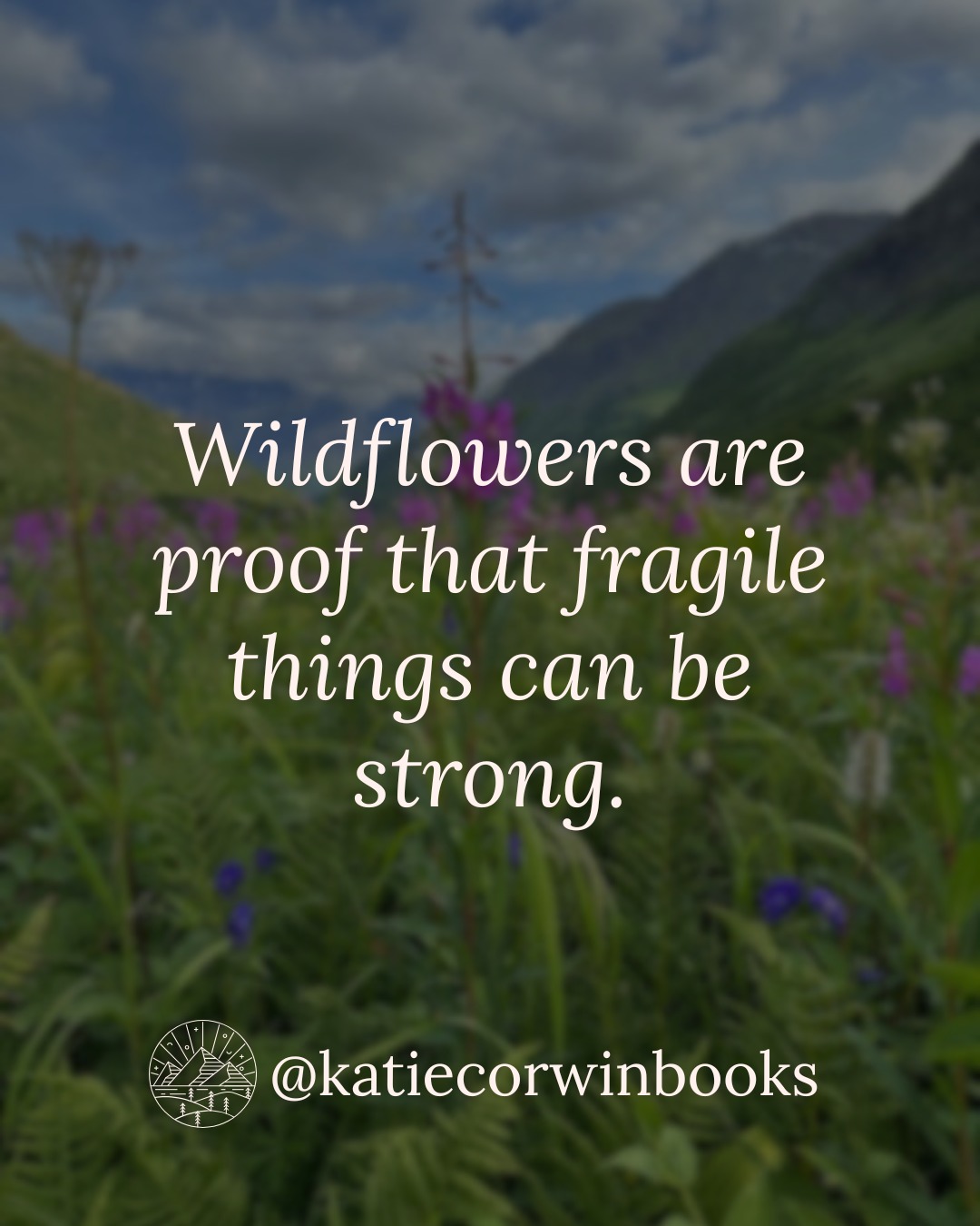 There is a kind of strength that does not announce itself. It just keeps growing, even in hard places. 🌿
For readers who love faith, healing, and soft but steady hope.
#KatieCorwinBooks #faithreads #Christianauthor #cleanreads #wildflowers