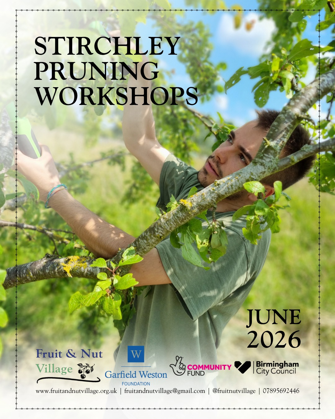 Stirchley Pruning Workshop Bonanza this June!
Monday 1st June – 9 am to 12 pm @ Kingdom Forest Garden. Start The Week: Fruit Tree Pruning Workshop
Tuesday 2nd June – 9.30 am to 12 pm @ Bullfinch Forest Garden. Pruning Workshop
Thursday 4th June – 9.30 am to 12 pm @ Broadmeadow Orchard. Stone Fruit Tree Pruning Workshop
Friday 5th June – 9.30 am to 11.30 am @ Hazelwell Riverbank Orchard. Stone Fruit Tree Pruning Workshop
Tuesday 16th June – 9.30 am to 12 pm @ Beilby Road Orchard. Stone Fruit Tree Pruning Workshop
Friday 19th June – 1 pm to 4 pm @ Pebble Mill Forest Garden. Stone Fruit Tree Pruning Workshop
Thursday 25th June – 1.30 pm to 4 pm @ Newlands Run. Stone Fruit Pruning Workshop
Friday 26th June – 9.30 am to 11.30 am @ Hazelwell Nut Grove. Stone Fruit Tree Pruning
Tuesday 30th June – 9.30 am to 12 pm @ Plymouth Run. Stone Fruit Tree Pruning Workshop
#stirchley #pruning #workshops #summer #birmingham