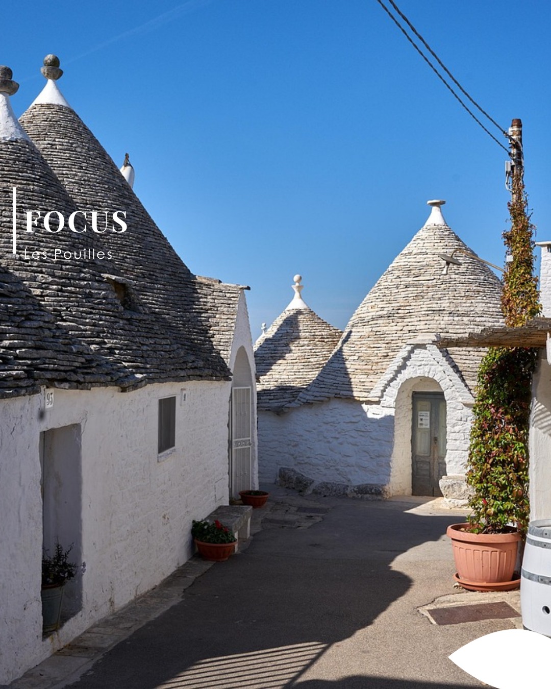 Focus destination : Les Pouilles ☀️
Envie d’Italie… loin des grandes foules ? ✈️
Direction les Pouilles, au sud du pays, une région pleine de charme entre villages blancs, eau turquoise et cuisine italienne authentique 🌊🍋
✨ Pourquoi on adore cette destination ?
🏖️ Des plages magnifiques
🍝 Une gastronomie incroyable
🏘️ Des villages typiques comme Alberobello ou Polignano a Mare
☀️ Une ambiance douce et dépaysante
Les Pouilles sont idéales pour :
💛 un roadtrip en couple
👨👩👧👦 des vacances en famille
🍷 ou simplement ralentir et profiter de la dolce vita
Alors… ça vous tente pour cet été ? 👀
📍Passez nous voir dans nos agences Fontana Tourisme pour organiser votre prochain voyage en Italie !
#Pouilles #Italie #Voyage #Vacances #Travel #DolceVita #ItalieDuSud #AgenceDeVoyage #FontanaVoyages #FontanaTourisme