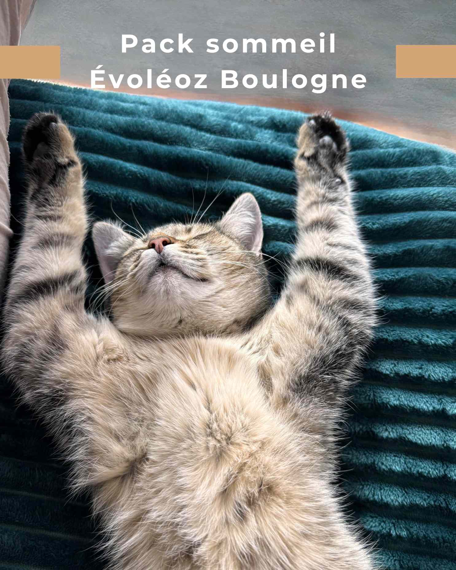 Découvrez le nouveau Pack Parcours d'Évoléoz : "Se réconcilier avec le sommeil".
Créer pour vous par deux professionnelles expérimentées qui travaillent ensemble autour de votre sommeil.
👉 Toutes les infos utiles sur https://www.evoleoz.fr/product-page/se-r%C3%A9concilier-avec-le-sommeil
Je suis Christel Bellier, fondatrice et dirigeante d’Évoléoz - Contactez-moi au 06 80 25 09 59 - contact@evoleoz.fr - evoleoz.fr
#CabinetBienÊtre #osezetresoi #mieuxetre #troublesdusommeil #boulognebillancourt