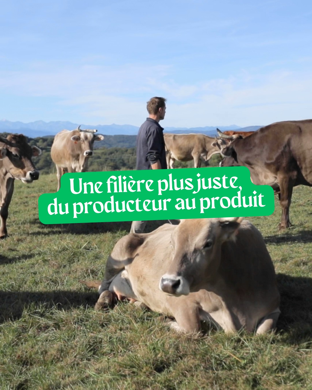 🧑🌾 À l’occasion de la Quinzaine du commerce équitable, nous mettons en lumière un engagement central chez Biochamps.
Tout notre lait (vache et brebis) est labellisé @bio_equitable_france, un label exigeant, contrôlé chaque année par un organisme indépendant 🐄
Concrètement, ce label garantit :
✅ un prix du lait plus juste
✅des volumes sécurisés sur 7 ans avec les producteurs
✅un engagement RSE fort de toute la filière, des producteurs à la laiterie
C’est ce que signifie BEEF : construire une filière plus stable, plus juste et plus durable 🤝
Parce que derrière chaque produit, il y a des choix. Et ceux-là comptent !
#QuinzaineDuCommerceÉquitable #BioEquitableEnFrance #Biochamps #AgricultureBio #ConsommerResponsable