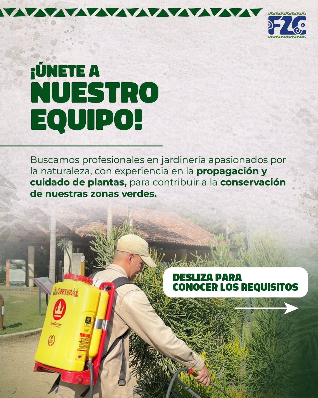 🌿 En La Fundación Zoológica de Cali creemos que el cuidado y la conservación de la naturaleza son el corazón de todo lo que hacemos.
Buscamos jardinero(a) con vocación, compromiso y respeto por la vida en todas sus formas, que disfrute trabajar en conexión con la naturaleza y aportar al bienestar de los espacios que cuidamos. 💚
📧 Envíanos tu hoja de vida al correo: analista.talento@fzc.com.co
#trabajosíhay #FZC #vacantescali #jardineros