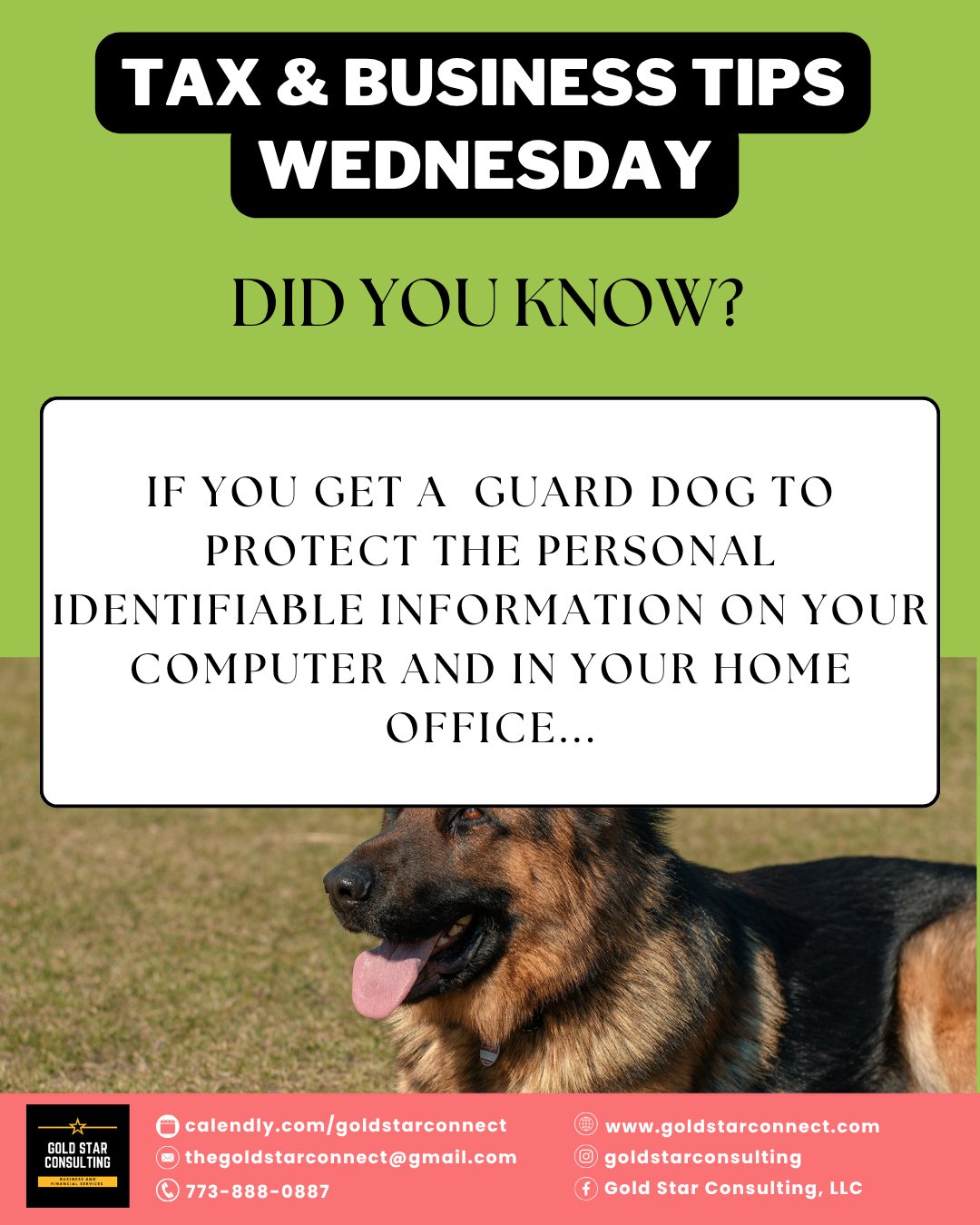 Your furry office buddy might be more tax-deductible than you think. 🐶💼
If you work from home and have a dog helping keep your office secure, calm, or client-friendly, you could be missing out on potential write-offs.
Book with us today and let’s uncover tax deductions you may not even know you qualify for. 📚✨
#TaxandBusinessTipsWednesday #HomeOffice #TaxWriteOffs #SmallBusinessOwner #WorkFromHome #TaxSeason #FinancialTips #BusinessTaxes #GoldStarConsultingChicago