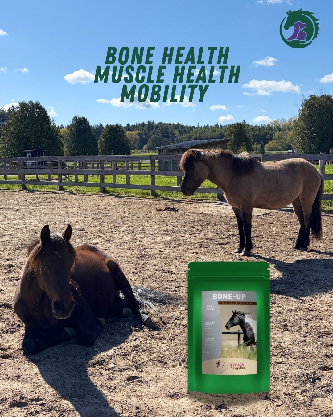 Riva’s Remedies Bone Up supports
healthy bones, joints, cartilage, connective tissue, and
muscles. Easy to absorb for everyday flexibility,
mobility, and comfort
Available at OnTotalWellness.com
Tottenham Pickup | Canada wide shipping
#rivasremedies #equinesupplements #horsewellness
#supplements #bonesupport