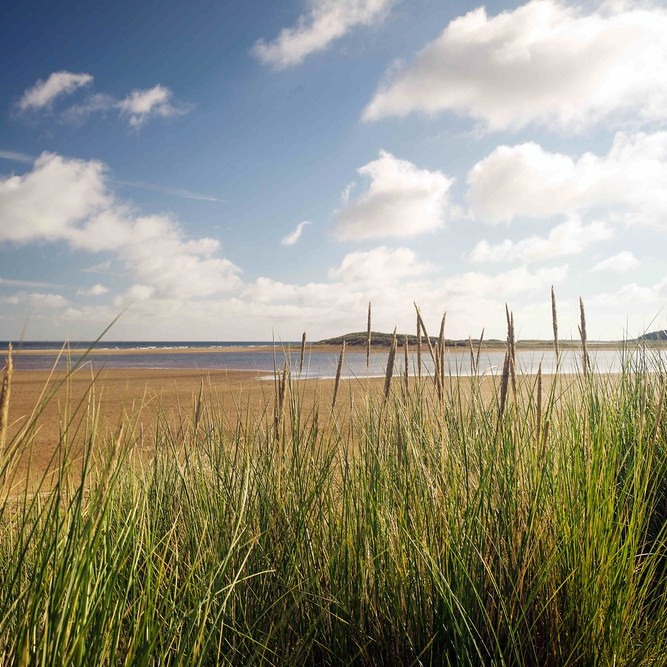 Vast sandy beaches, sweeping salt marshes, and endless big skies. The Norfolk Coast is an area of pure natural beauty built for long, unhurried coastal days.🐚
Wander down the dramatic, pine-fringed shoreline of Holkham, grab fresh local seafood in a bustling crabbing town, or hike the panoramic coastal paths. From wildlife spotting to finding a quiet bench in a village worth lingering in, your perfect beach getaway is waiting. 🦀
Tap the link to find your ideal coastal base.
https://visitnorfolk.co.uk/regions/norfolk-coast
#VisitNorfolk #NorfolkCoast #BigSkies #UKBeaches #CoastalWalks #Holkham #SeasideEscape #ExploreNorfolk