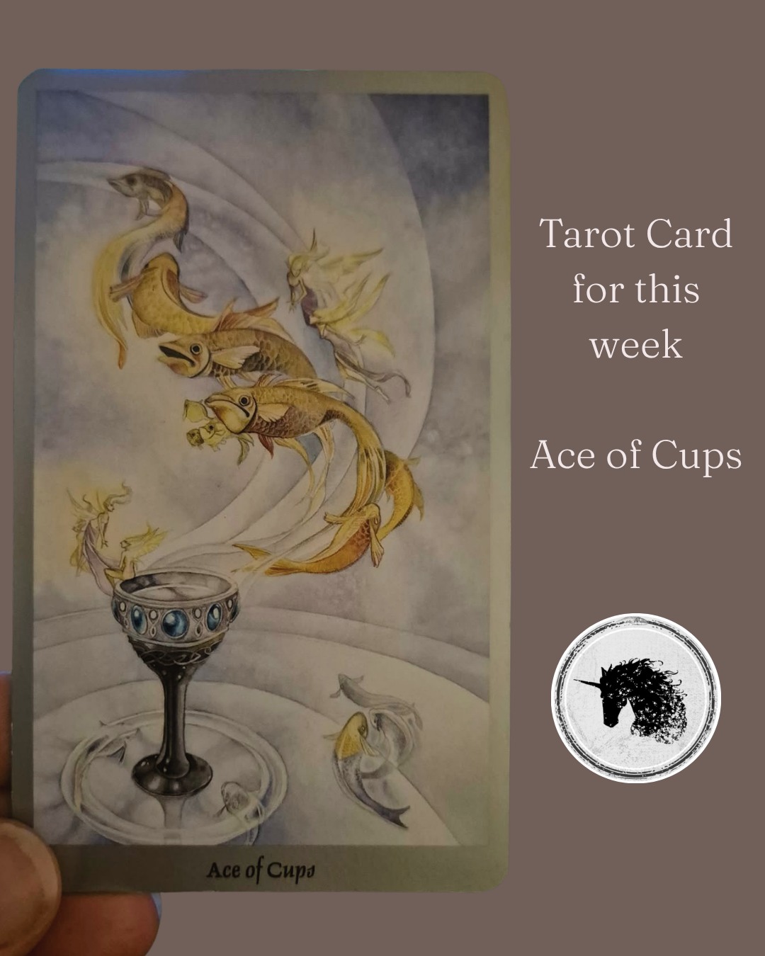 This week we are joined by the Ace of Cups.
Funnily enough, before pulling this card, we discovered a burst water pipe under our kitchen sink. Water everywhere! As soon as I saw the Ace of Cups... I knew it was exactly as it should be!
Traditionally, this card speaks of emotional beginnings, love, connection, intuition, creativity, and an opening of the heart. But as I sat with the stunning imagery from the Shadowscapes Tarot, I had something a little different emerge
What do you see here?
At first glance, there is a single cup receiving water from above. A beautiful image of receiving, replenishment, and flow.
But then I noticed something else...
The cup sits upon a pond, creating ripples that extend outwards. Fish swim peacefully around it. Water flows not only into the cup, but exists all around it.
And I found myself wondering:
Is the cup actually being filled... or was it already full?
The more I sat with this card, the more it felt less like a beginning and more like an awareness. An awareness that perhaps what we are seeking is already present.
This week may invite you to consider:
What is already flowing in your life?
What have you been overlooking because it feels too familiar?
Where are you searching for something that may already be present?
What are you becoming aware of emotionally?
This card feels deeply connected to the relationship we have with ourselves. And the more I sat with this, the more it made sense... Before we can pour into others, we must first understand what fills our own cup.
And perhaps this week isn't about filling it at all.
Perhaps it is about recognising what is already there.
Through daily life, this energy may show up as:
- a heartfelt conversation
- a moment of unexpected emotion (I was balling at the 'Michael' movie over the weekend)
- renewed creativity or inspiration
- feeling more connected to yourself
- allowing yourself to receive support, kindness, or love
- recognising abundance where you once saw lack
Blessings ✨
Priestess Clan Mother
Tracy-Lee x 🦄💛