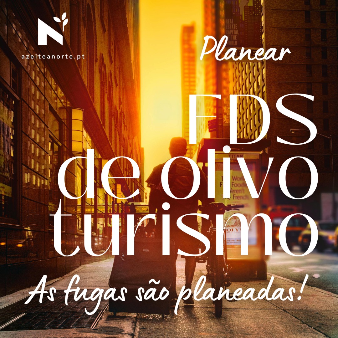Sexta à tarde. Estrada para norte. Sem saber bem o que te espera — apenas que queres algo diferente. 🫒
Um fim de semana de olivoturismo em Trás-os-Montes e Alto Douro não se descreve. Planeia-se — e depois surpreende sempre.
No blog tens o roteiro completo: o que visitar, onde comer, como reservar, e o que vais trazer para casa.
🔗 azeiteanorte.pt/post/fim-de-semana-olivoturismo-tmad
—
Friday afternoon. Road north. Not quite sure what to expect — just that you want something different.
An olive oil tourism weekend in Trás-os-Montes and Alto Douro can't be described. It's planned — and then it always surprises.
Full itinerary on the blog: what to visit, where to eat, how to book.
🔗 Link in bio
#OliveOilTourism #Oleoturismo #NorthernPortugal #SlowTravel #WeekendGetaway #FoodTravel #Portugal #OliveOil #AuthenticTravel #MediterraneanDiet