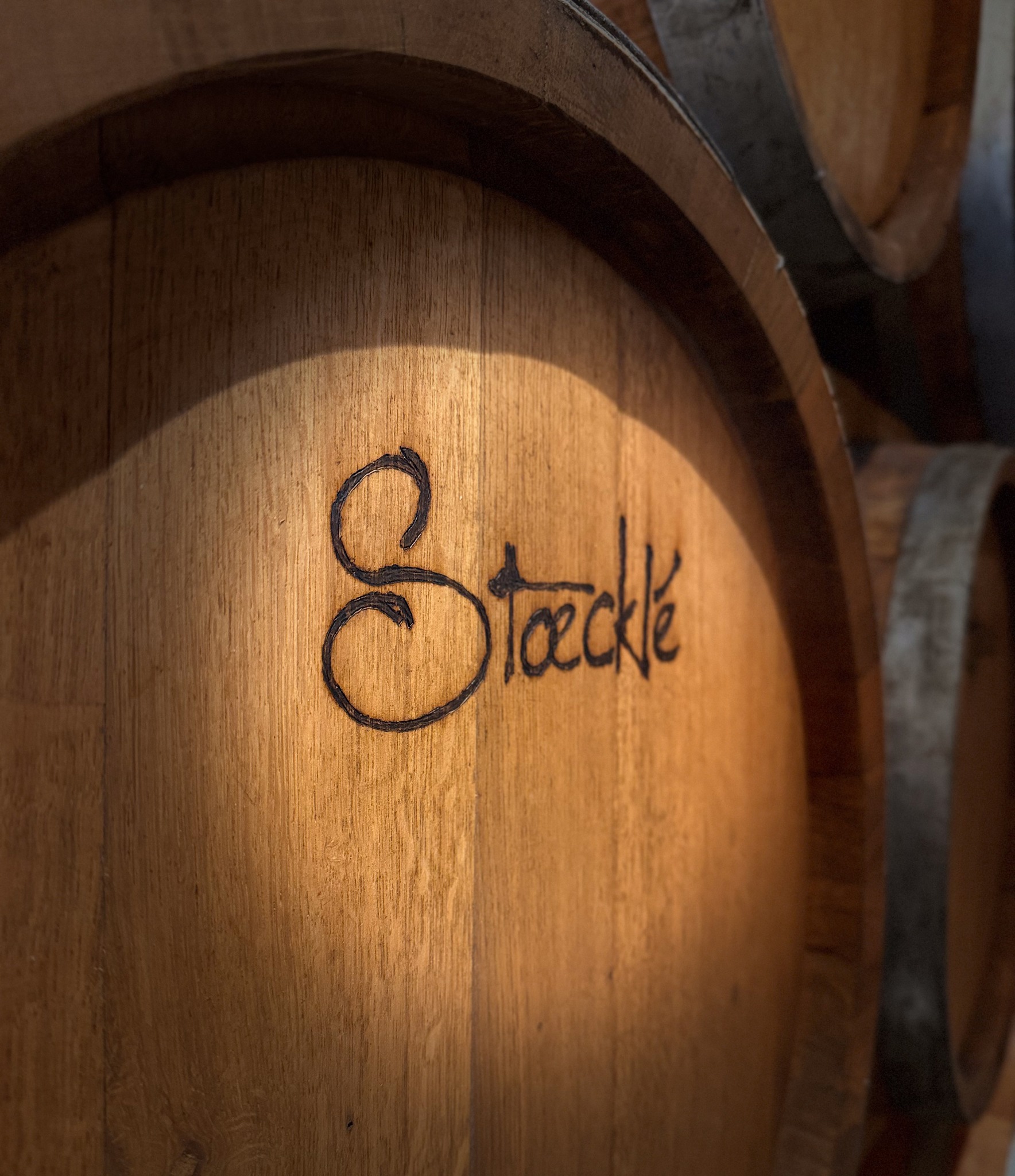Au cœur de la cave, le temps fait son œuvre… 🍷🌿
Entre tradition et savoir-faire, chaque détail compte pour révéler toute la richesse de nos vins.
L’authenticité, tout simplement ✨
#terroir #winemaker #alsace #tradition