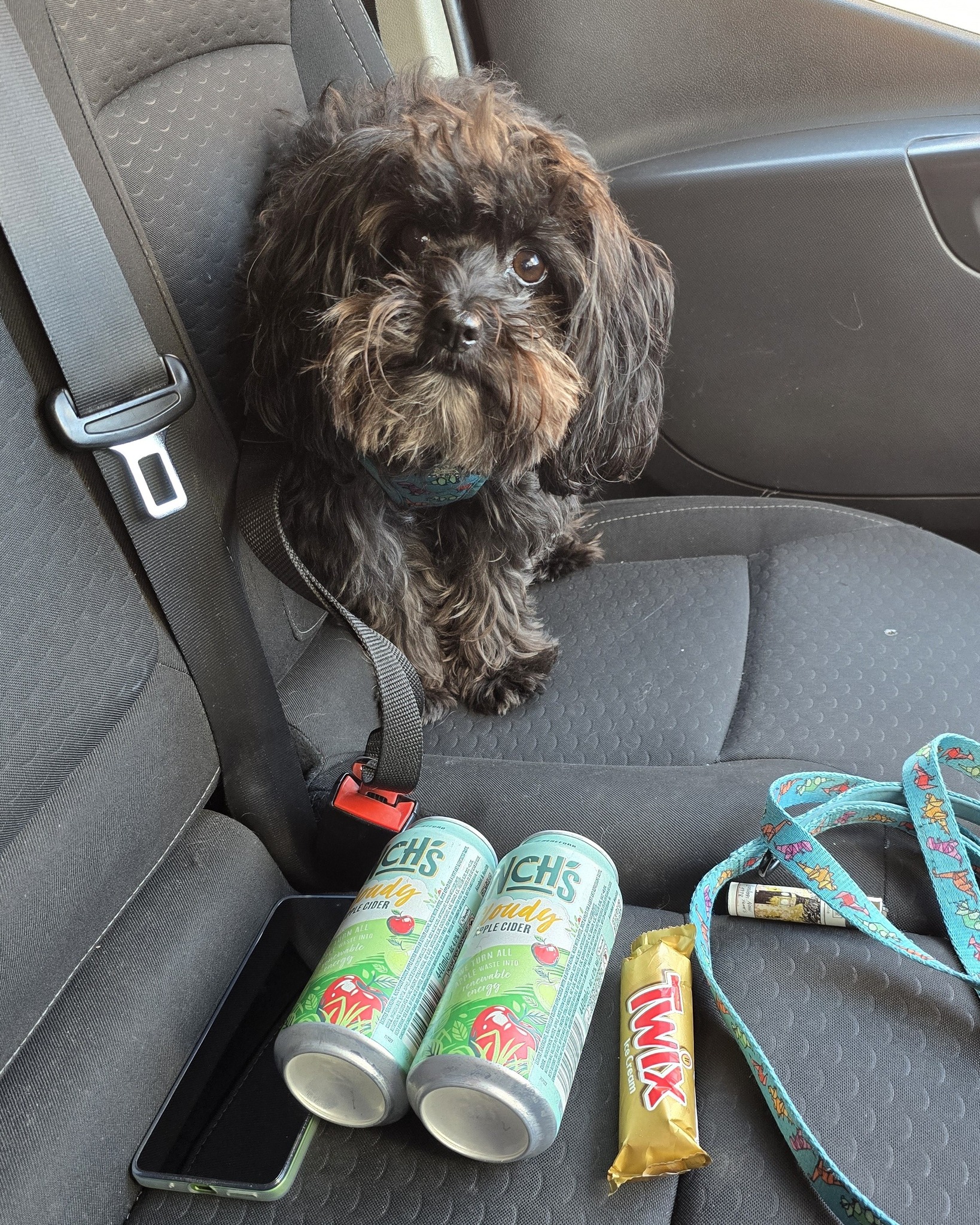 3 maps and a diagnostic done, pitstop at home to grab the puppy, ice cream and cider for mums.
1 more quick job then to mums for a couple more faffy jobs there! 😂