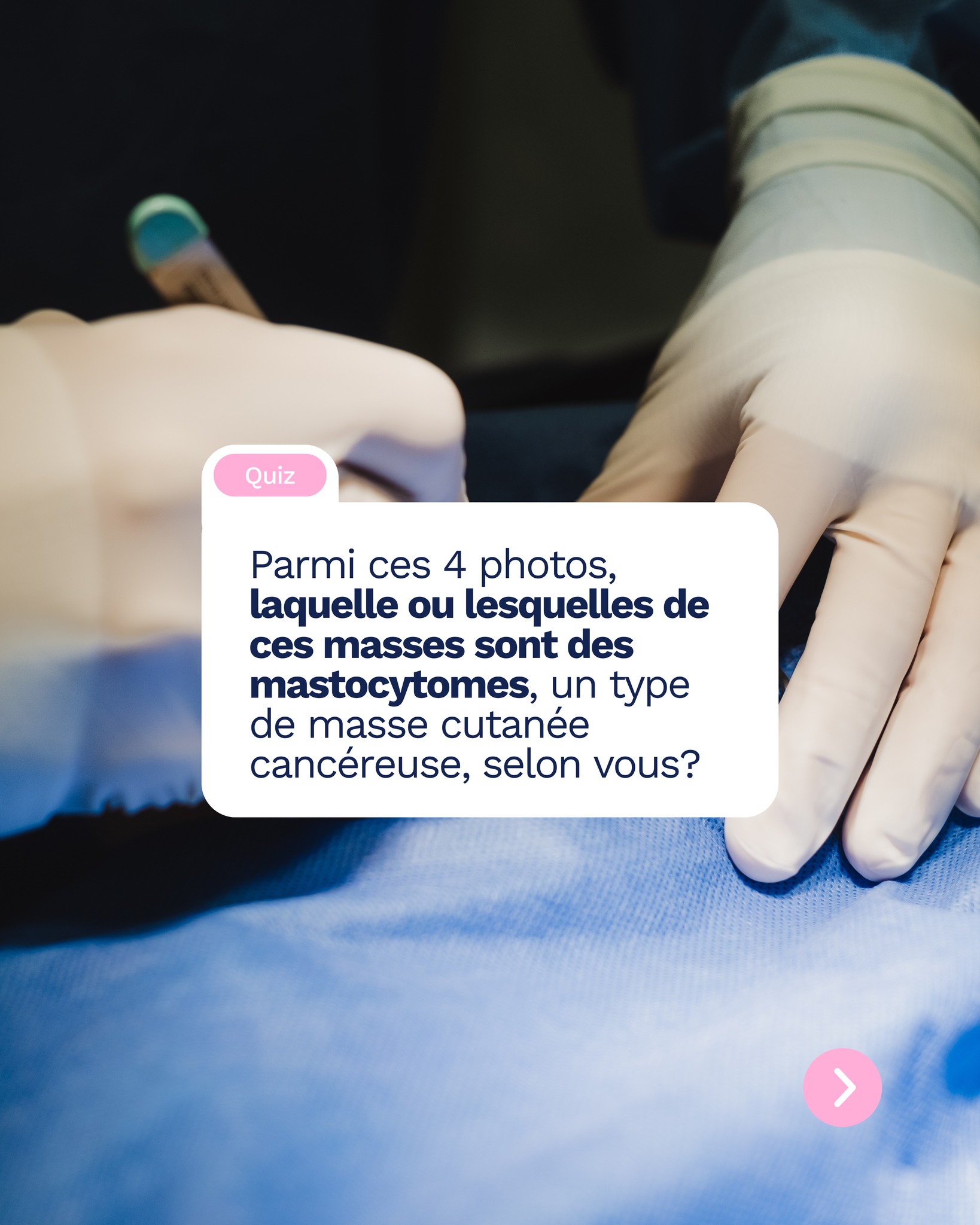 Vous sentez une petite masse sur le corps de votre animal et ça vous inquiète?
C’est tout à fait normal.
À l’œil nu, il est impossible de savoir si une masse est bénigne ou maligne. Elle peut être aussi simple qu’un amas graisseux, mais elle peut aussi nécessiter une prise en charge plus rapide de par sa nature agressive localement ou systémiquement.
Dans notre article de blog du mois, on vous explique tout sur les masses et quelles sont les étapes recommandées selon la situation.
🔗 www.coupez.ca/conseils