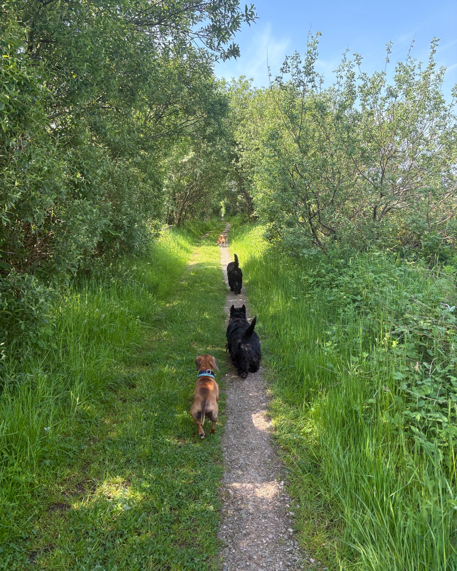 Jeannie, Stitch, Bruce and Stanley π€©