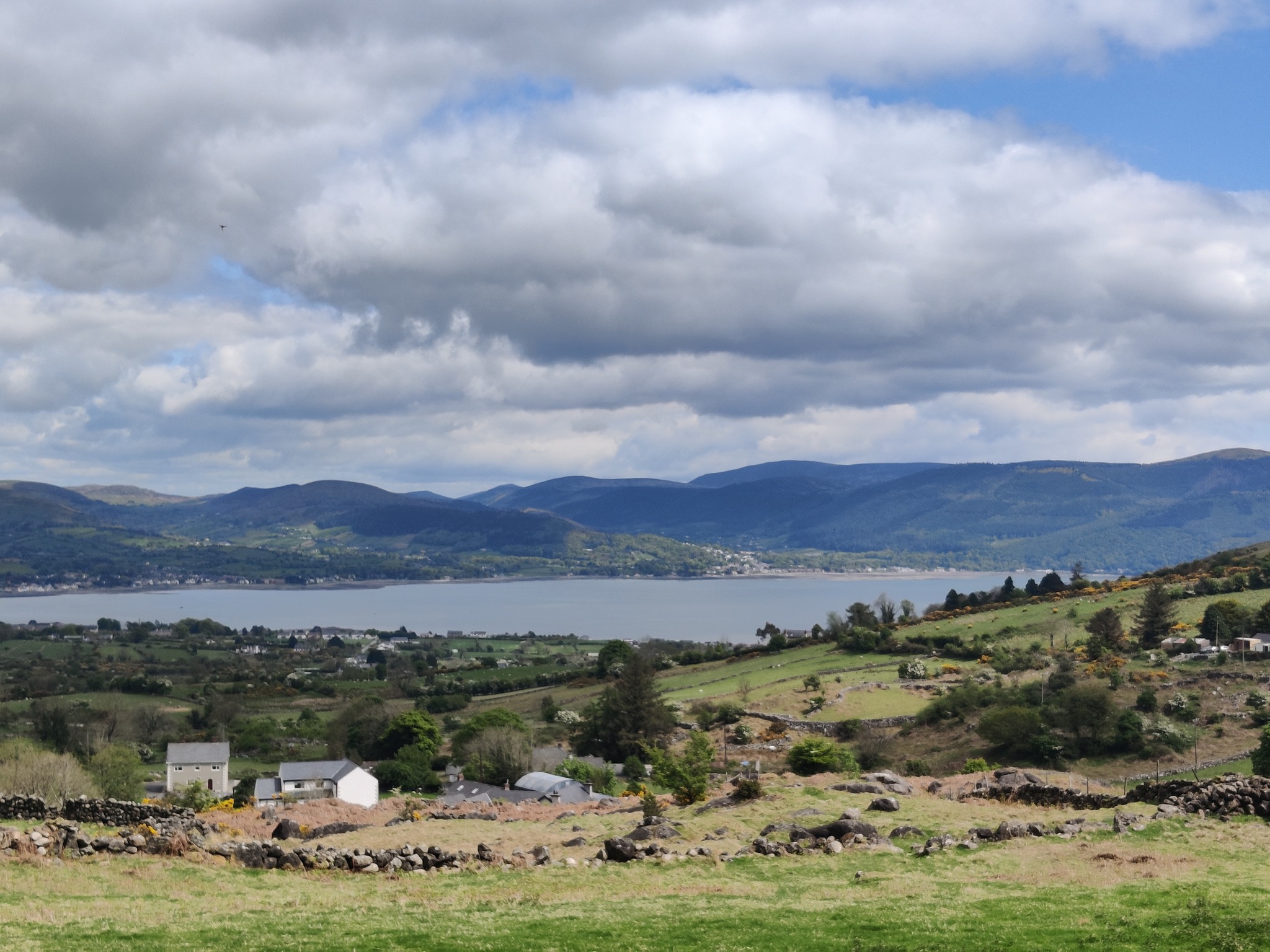 Where the mountains meet the Lough 🌿🌊
Some views simply ask you to stop and breathe. From the slopes of Slieve Foye, the highest peak in County Louth, the Cooley Mountains roll gently down to meet Carlingford Lough, with the Mourne Mountains rising softly on the far shore 💙
Stone walls, golden gorse, quiet farmland and the shimmer of the sea in the distance. This is the kind of place where time slows down and the coast feels endless.
Come and #SeeEatAdmire the wild beauty of Sea Louth.
📍 Cooley Peninsula, Co. Louth
🔗 sealouth.ie/carlingford
#SeaLouth #CooleyPeninsula #IrelandsAncientEast #KeepDiscovering
Credit Sealouth