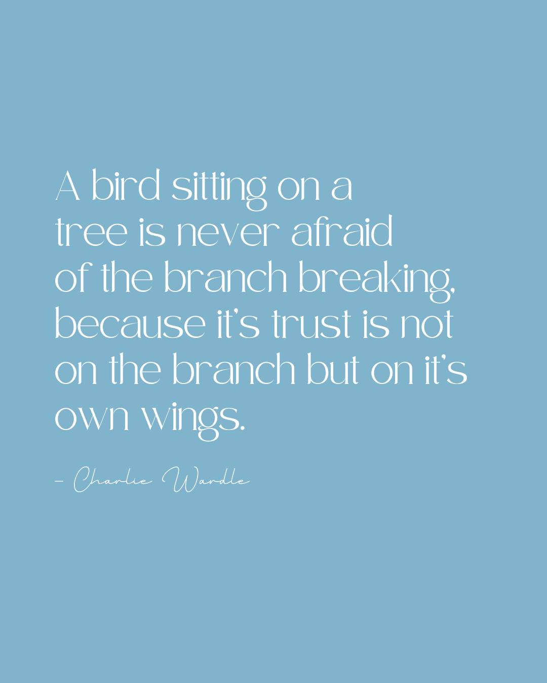 A bird sitting on a tree is never afraid of the branch breaking, because its trust is not on the branch but on its own wings.”
— Charlie Wardle ✨
In ballet, the barre is our branch.
It supports us, guides us, teaches us balance, strength, and discipline. 🩰
But true dancing begins when we step away from it.
In center work, there is no barre to hold onto. only trust in ourselves, in our training, and in the freedom of movement we have built over time. Like a bird learning to fly, a dancer discovers that confidence does not come from what supports us externally, but from what grows within us.
#rosenthalballett
#qualityandjoy
#ballettschule
#ballettunterricht
#ballettliebe
#tanzfreude
#balletschool
#balletclass
#ballet
#balletforlife
#düsseldorfballett