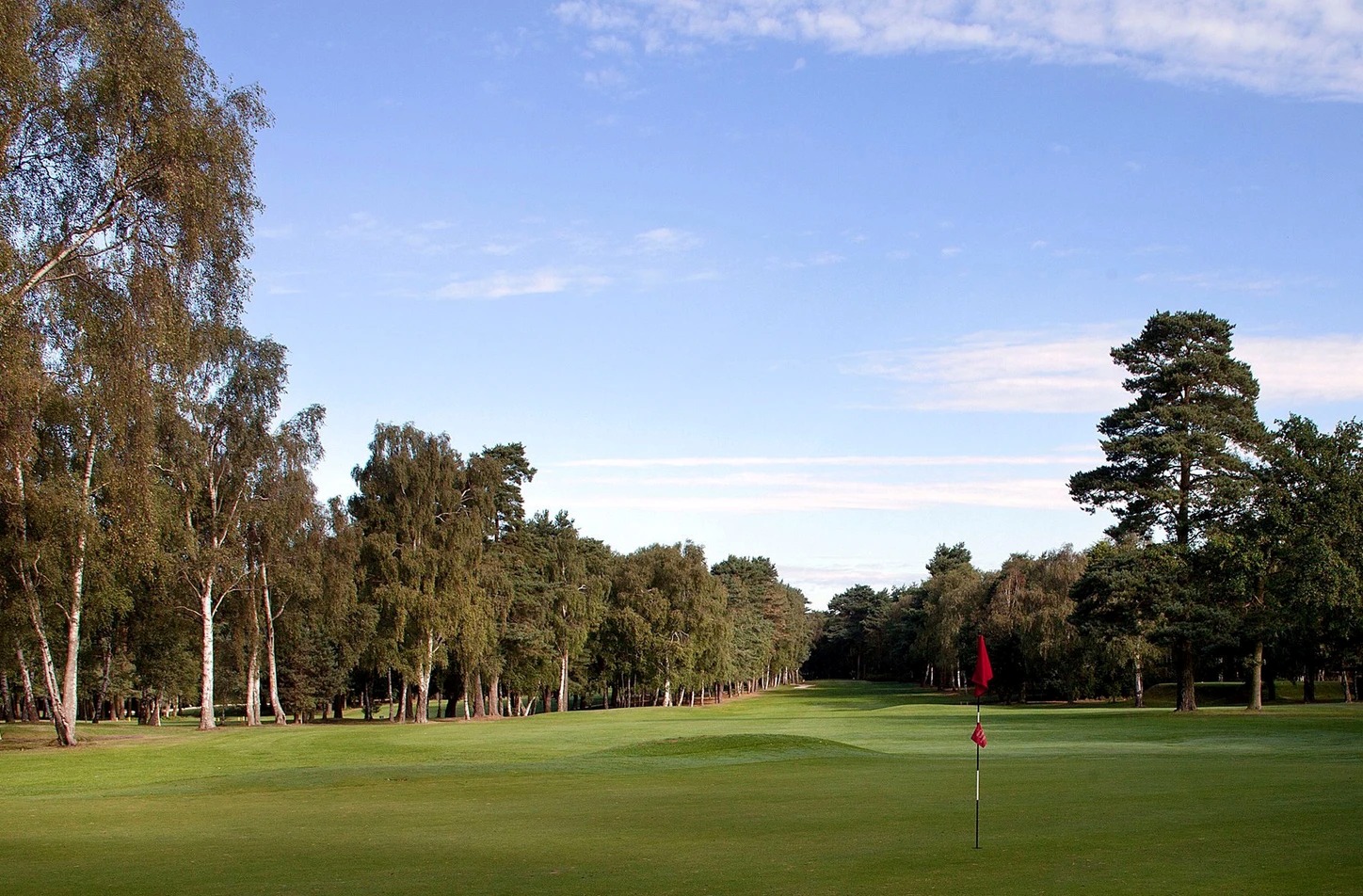 Tee off on a championship woodland course ranked among the top 100 in England!⛳️
Nestled in gorgeous pine forests near Castle Rising, @kingslynngolfclub offers a scenic 18-hole challenge designed by Peter Alliss. With sandy, well-drained soil keeping the fairways pristine year-round, it is the perfect spot for your next golf day out with friends.🏌️♂️
👇Click the link below to check visitor availability and book your tee time today!
https://visitnorfolk.co.uk/businesses/kings-lynn-golf-club
#VisitNorfolk #KingsLynnGolfClub #NorfolkGolf #GolfDay #WoodlandCourse #UKGolf #WestNorfolk