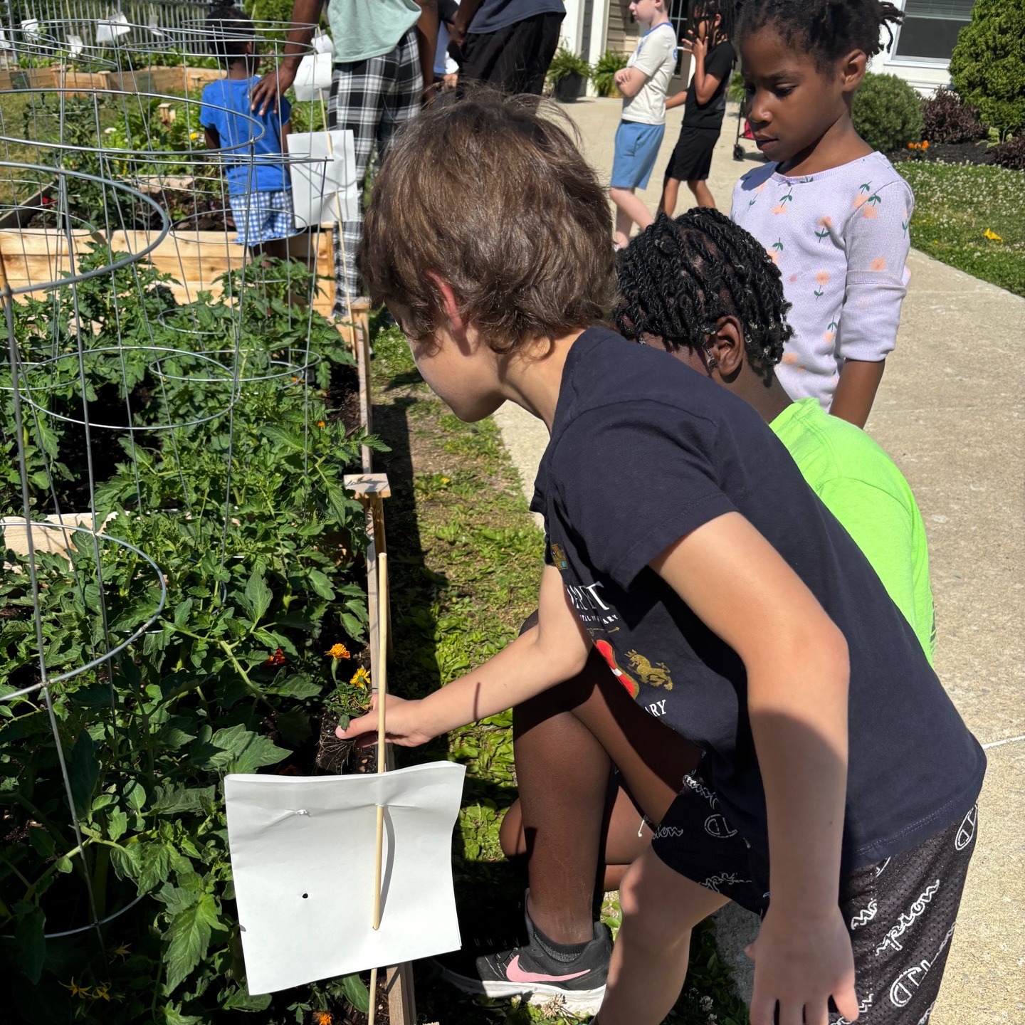 Summer Gardening Fun with the Youth Program 🌷🌼!!
#summercamp #hannacommunity #gogreen