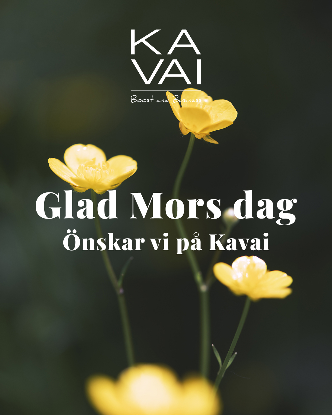 🌼Idag vill vi uppmärksamma alla mammor och kvinnliga förebilder.
💛Kvinnor som med omtanke, styrka och engagemang får människor omkring sig att växa – hemma, på jobbet och i samhället. 💪
Tack för allt ni bidrar med, idag och alla andra dagar.
Glad Mors dag önskar vi på Kavai.
#morsdag #kavaiboostandbusiness #femaleempowerment