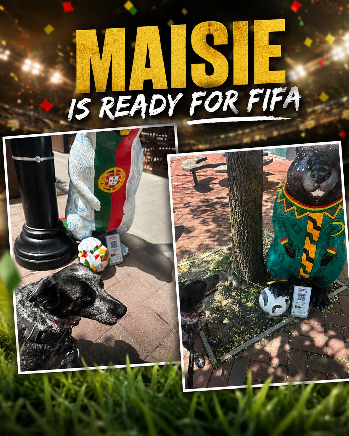 ⚽️🇨🇦 Game day with Maisie!
Maisie spent her walk scouting the competition, checking out the international mascots, and making sure the soccer balls were up to standard. 🐾
Safe to say she's ready for kickoff ❤️!!
#Waggr #TorontoDogs #DogWalksToronto #DogsofToronto #FIFA #SoccerPup #CanadianDog #AdventureWalks #HappyPup #WaggrWalks