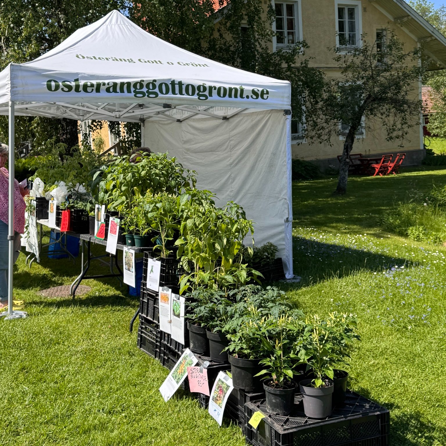 Söndagar under säsong hittar ni Gott & Grönt på gatan 11-16. Var dom står brukar variera lite men ni kan inte missa det vita tältet.