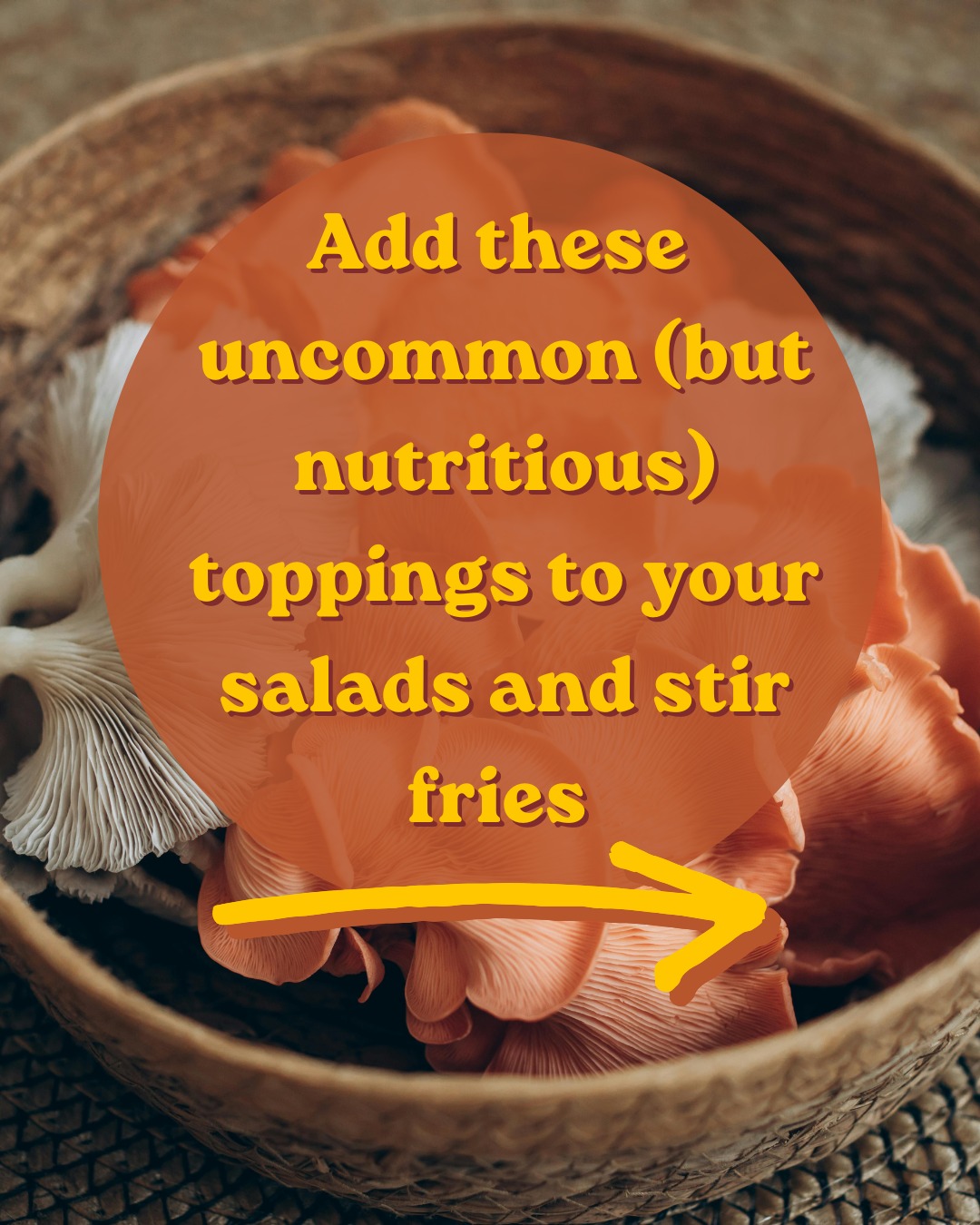 Looking to boost your creativity and health with your next salad? Order these salad toppers and stir fry additions above at our storefront.
#Purslane #PurslaneMD #PinkOysterMushrooms #MarylandOysterMushrooms #GarlicScapes #GarlicScapesMD #BaltimoreEats #BuyLocalBaltimore #MarylandMade #ChesapeakeRegion #FarmToTable #LocalFood #SupportLocalFarms