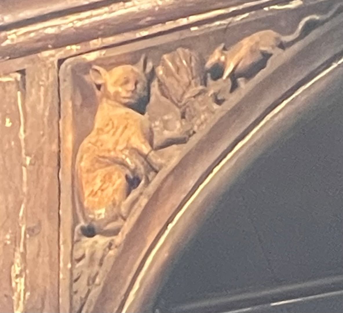 Look up in the Lady Chapel of Cirencester's wonderful church and you'll spot a cat hunting a lurking mouse. It's sometimes called the 'Tom and Jerry' carving because of the famous cat and mouse cartoons. Medieval churches often feature carvings with little or no religious meaning (so far as we know!).
#offbeatcotswolds #bluebadgeguide #bluebadgeguides
#britainsbestguides #Cotswolds #thecotswolds
#inthecotswolds #cotswoldcountry #Cotswolds_Culture #lovethecotswolds
#cirencester #cirencesterchurch #tomandjerry #catandmouse
#discoverthecotswolds #visitthecotswolds #discovercotswolds #cotswoldslife #cotswoldlife
#your_cotswolds
#cotswoldvillage #visitengland #englishvillage
#englishcountryside
#explore_britain_ #traveling_uk
#photosofengland #instabritain #europetravel