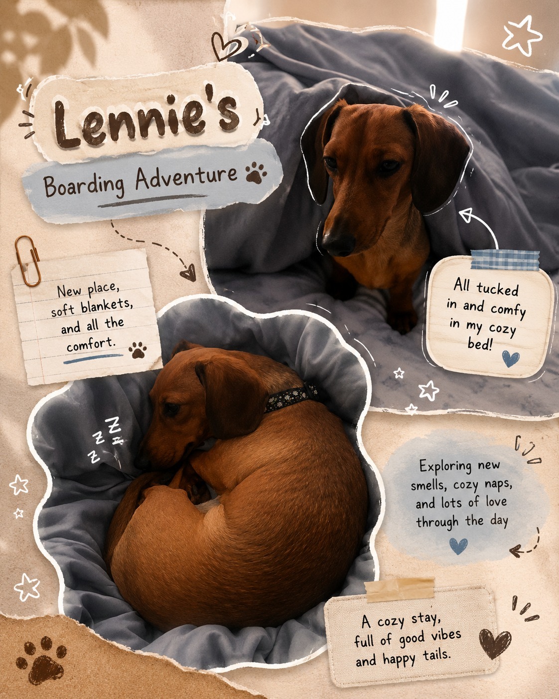 🏡✨ Lennie’s Boarding Adventure ✨🏡
A few days filled with soft blankets, sunny patches of grass, quiet neighbourhood strolls, and lots of new places to explore. 🌿☁️
From cozy indoor corners to fresh outdoor scents, Lennie spent his stay discovering new surroundings at his own pace. Every day brought a different view, a different path, and plenty of opportunities to take it all in. 🐾
Swipe through to see some of the highlights from Lennie’s little getaway! 💛
#Waggr #DogBoardingToronto #TorontoDogs #DachshundLife #DogBoarding #PetCareToronto #DogAdventures #DogsofToronto #DogVacation #WaggrPets