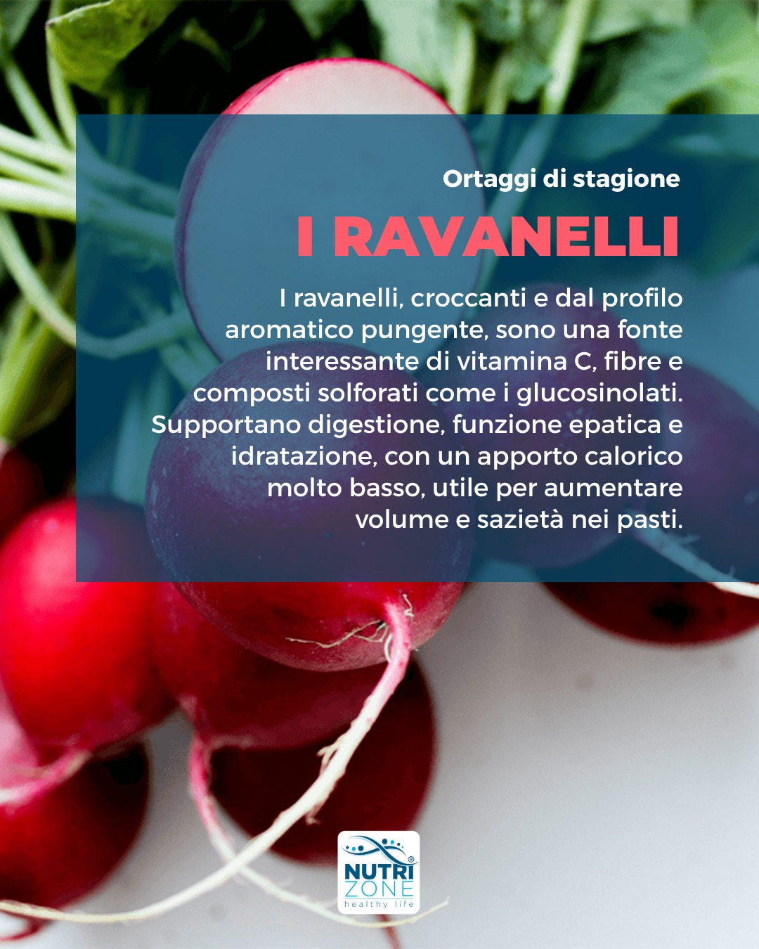 Croccanti, aromatici e versatili❤️
.
Apporto calorico molto basso e ottimi nella stagione estiva 🥗
.
#nutrizione #NutriZone #teamNutriZone #nutrizionepersonalizzata #nutrizionesana #nutrizionista #nutrizionistabrescia #biologonutrizionistabrescia #brescia #nutrizionista #biologonutrizionista #starebene #ortaggidistagione #ravanelli #ravanello