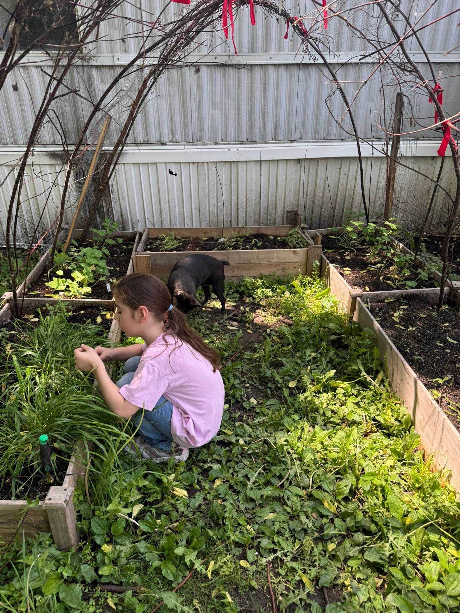 The gardens are so happy about this weather.