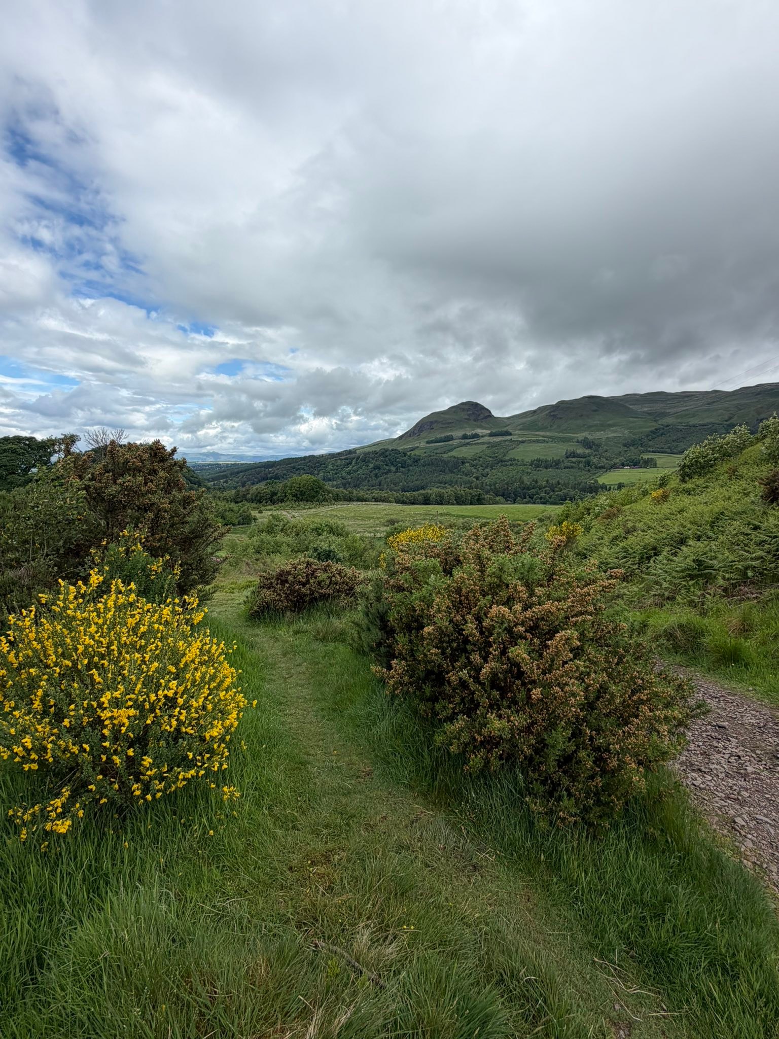Today I started my trek on the Official West Highland Way with a bunch of awesome women! Made it from Milngave to Dryman. About 12.5 miles. Got to the hotel, changed and went to another pub next to the hotel; The @theclachandrymen found a craft beer from Glasgow’s @west.beer called St Mungo! 🍻 @hikelikeawoman