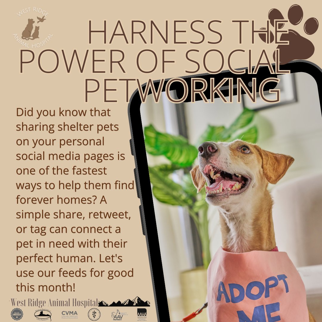 It's Social PETworking Month!
Did you know that sharing shelter pets on your personal social media pages is one of the fastest ways to help them find forever homes?
A simple share, retweet, or tag can connect a pet in need with their perfect human. Let's use our feeds for good this month!
#SocialPETworking #SaveALife #AdoptDontShop #NoCoPets #westridgeanimals