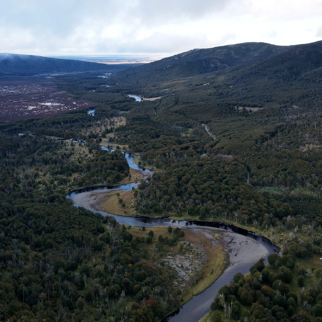 Una turbera, un pastizal, un arroyo o un río suelen observarse por separado.
Sin embargo, forman parte de un mismo sistema, el agua se mueve entre ellos, las condiciones del suelo influyen en su comportamiento y los cambios en un sector pueden generar respuestas en otro. Entender esas conexiones permite observar el paisaje más allá de sus componentes individuales.
#Agua #MedioAmbiente #Conservacion #Naturaleza #Geografia #chile #riorubens #Hidrologia #AguasSubterraneas #Infiltracion #Cuencas #Turberas #TurberasPatagonicas
.
.
.
.
.
.
.
A peatland, a grassland, a stream, or a river are usually observed separately. However, they are part of the same system: water moves between them, soil conditions influence their behavior, and changes in one sector can trigger responses in another. Understanding these connections allows us to observe the landscape beyond its individual components.
#Water #Environment #Nature #Sustainability #ClimateChange #Groundwater #WaterCycle #Infiltration #RiverRestoration #Peatlands #Wetlands