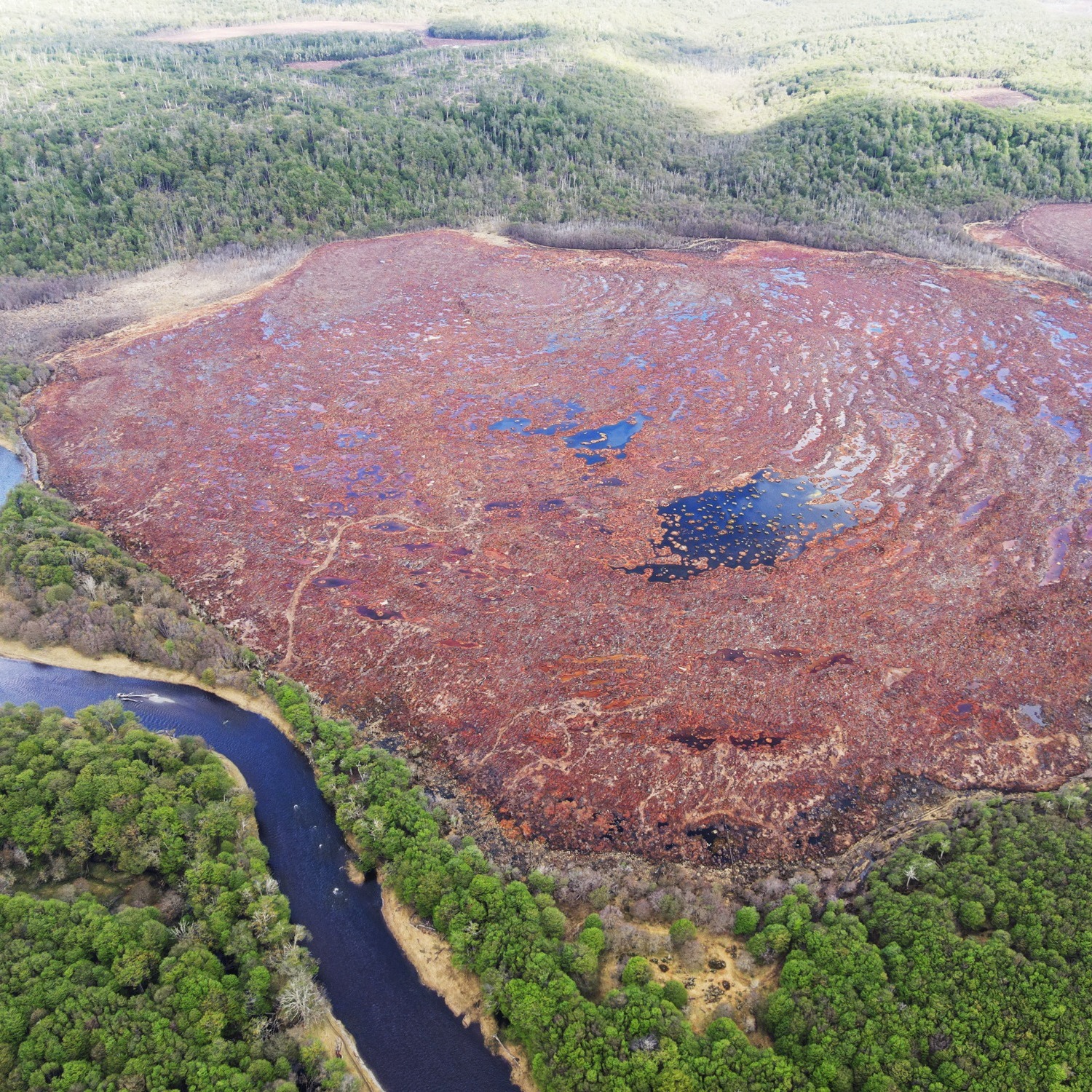 Las turberas son sistemas que acumulan materia orgánica durante largos períodos de tiempo, también participan en procesos relacionados con almacenamiento de agua y dinámica hídrica del paisaje. Gran parte de estos cambios ocurren lentamente, a escalas que muchas veces pasan desapercibidas.
#Agua #MedioAmbiente #Conservacion #Naturaleza #Geografia #chile #riorubens #Hidrologia #AguasSubterraneas #Infiltracion #Cuencas #Turberas #TurberasPatagonicas
.
.
.
.
.
.
.
.
.
Peatlands are systems that accumulate organic matter over long periods of time; they also participate in processes related to water storage and landscape water dynamics. A large part of these changes occur slowly, on scales that often go unnoticed.
#Water #Environment #Nature #Sustainability #ClimateChange #Groundwater #WaterCycle #Infiltration #RiverRestoration #Peatlands #Wetlands