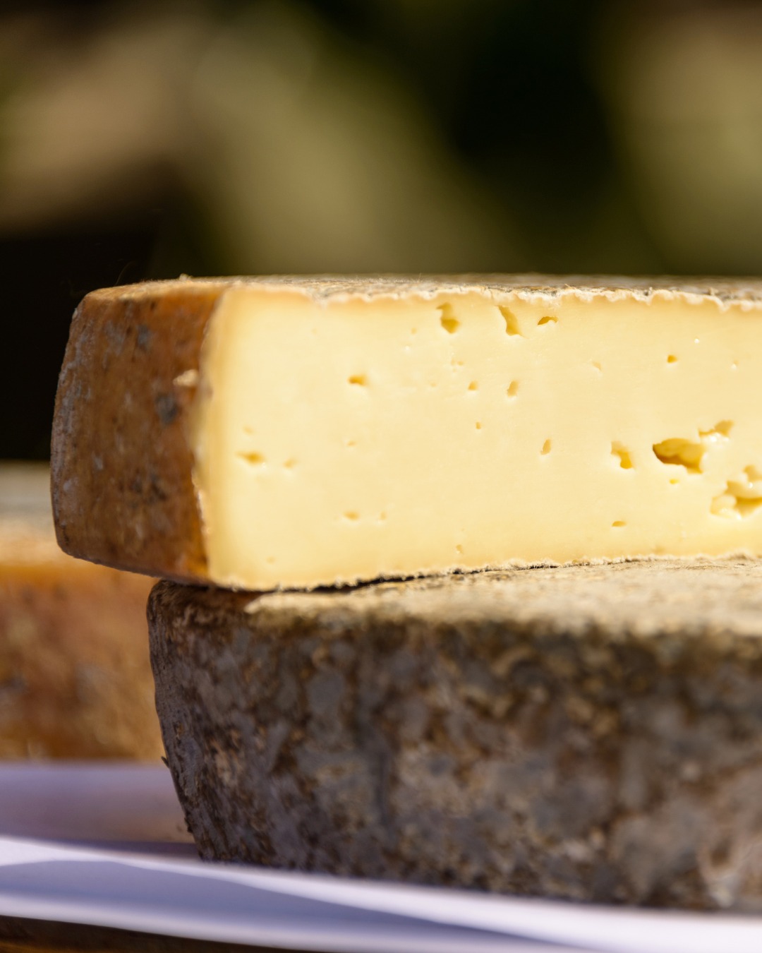 Il y a des produits qui n’ont pas besoin d’en faire trop.
.
Une bonne tomme, un morceau de pain, quelques fruits secs…
et la table est déjà bien partie.
.
Chez KIOUI, on aime ces fromages de caractère :
👉 à partager à l’apéro
👉 sur une grande planche d’été
👉 avec un verre de rouge bien choisi
👉 ou simplement coupés en fines tranches au dernier moment
.
Des produits simples, généreux, qu’on pose au milieu de la table… et qui rassemblent tout le monde.
.
📍 À retrouver chez KIOUI – 5 rue d’Achicourt, Arras
.
.
.
#fromage #tomme #plancheapero #kioui #kiouiarras #kiouiprimeurs #lebongoutdumarche #epiceriefine #arras #hautsdefrance
.
www.kioui-primeurs.fr