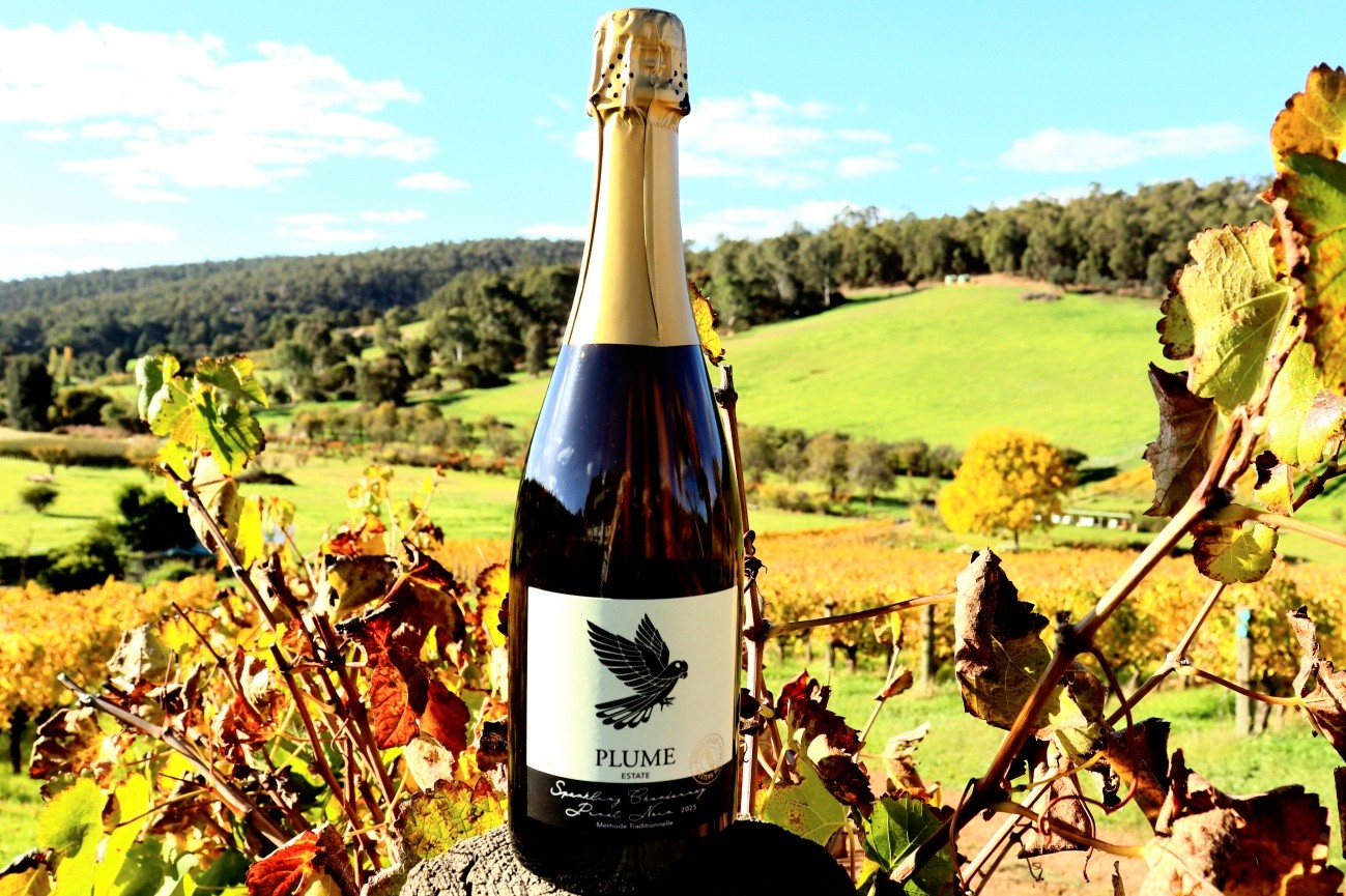 Introducing our newest
Plume Estate Sparkling Chardonnay/Pinot Noir π₯ πΎ
Available at our cellardoor!
Please check our website for opening hours.