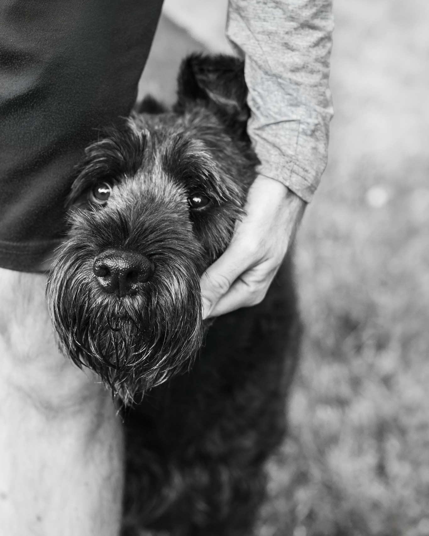 Some of the most meaningful family photos include the ones with furry friends who are part of your everyday story 🖤
Family sessions are about capturing connection exactly as it is. The cuddles, the chaos, and every member of the family in between
Booking summer and fall family sessions in Fairfield County, including sessions with your pups because they belong in the memories too ✨
.
.
.
CT Family Photographer | Connecticut Family Photographer | Fairfield County, CT Family Photographer
#connecticutphotographer #FairfieldCountyCT #LifestylePhotography #inperspectivephotography #fairfieldcountyphotographer #fairfieldcountymoms #westonctmoms #westportctmoms #westportphotographer #newcanaanphotographer #darienphotographer