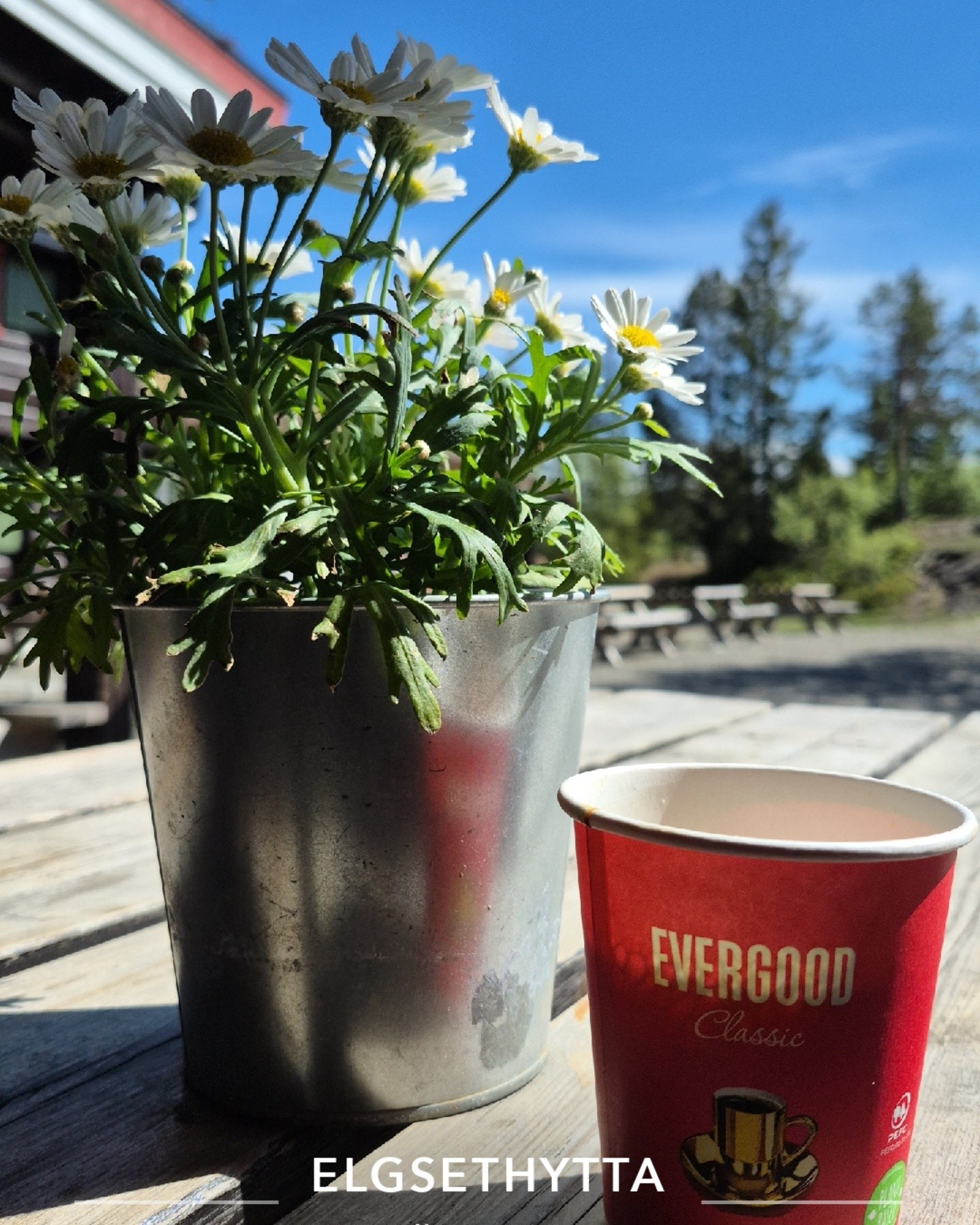 Vi er på plass og middagserveringa er klar kl 13.00-19.30
Vi stenger 20.00