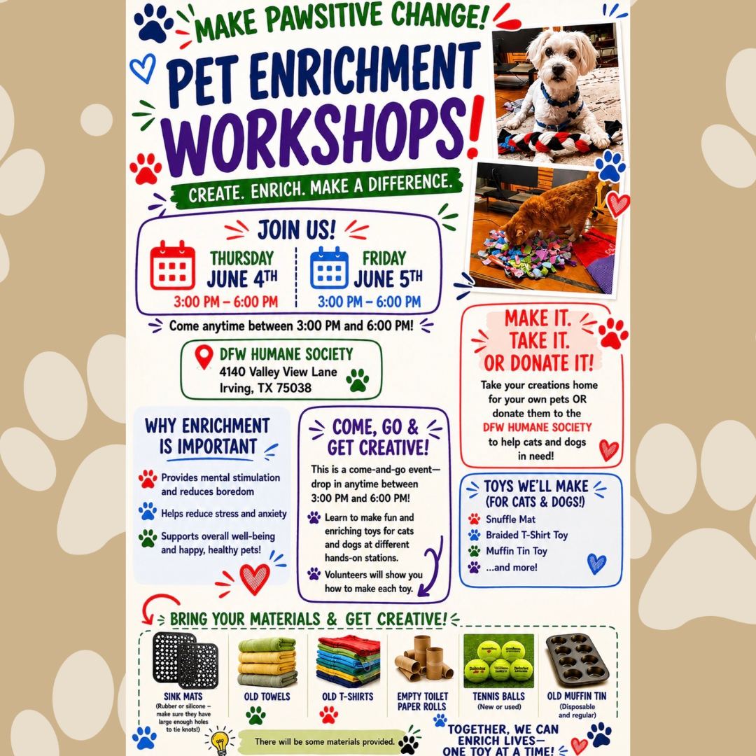 Want to make shelter pets' days a little brighter? Join us for our Pet Enrichment Workshop on June 4th and 5th! Stop by anytime between 3 PM and 6 PM to learn how to create fun enrichment toys and activities for the animals in our care. Some supplies will be provided, and you're welcome to bring your own materials, too. We hope to see you there!