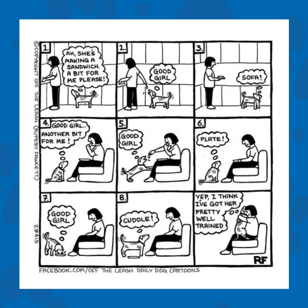 Happy Paw-turday! 🐾☀️ Kick back, relax, and enjoy a couple of dog comics to start your weekend with a smile. After all, laughter is even better when it's dog-themed! 🐶💕